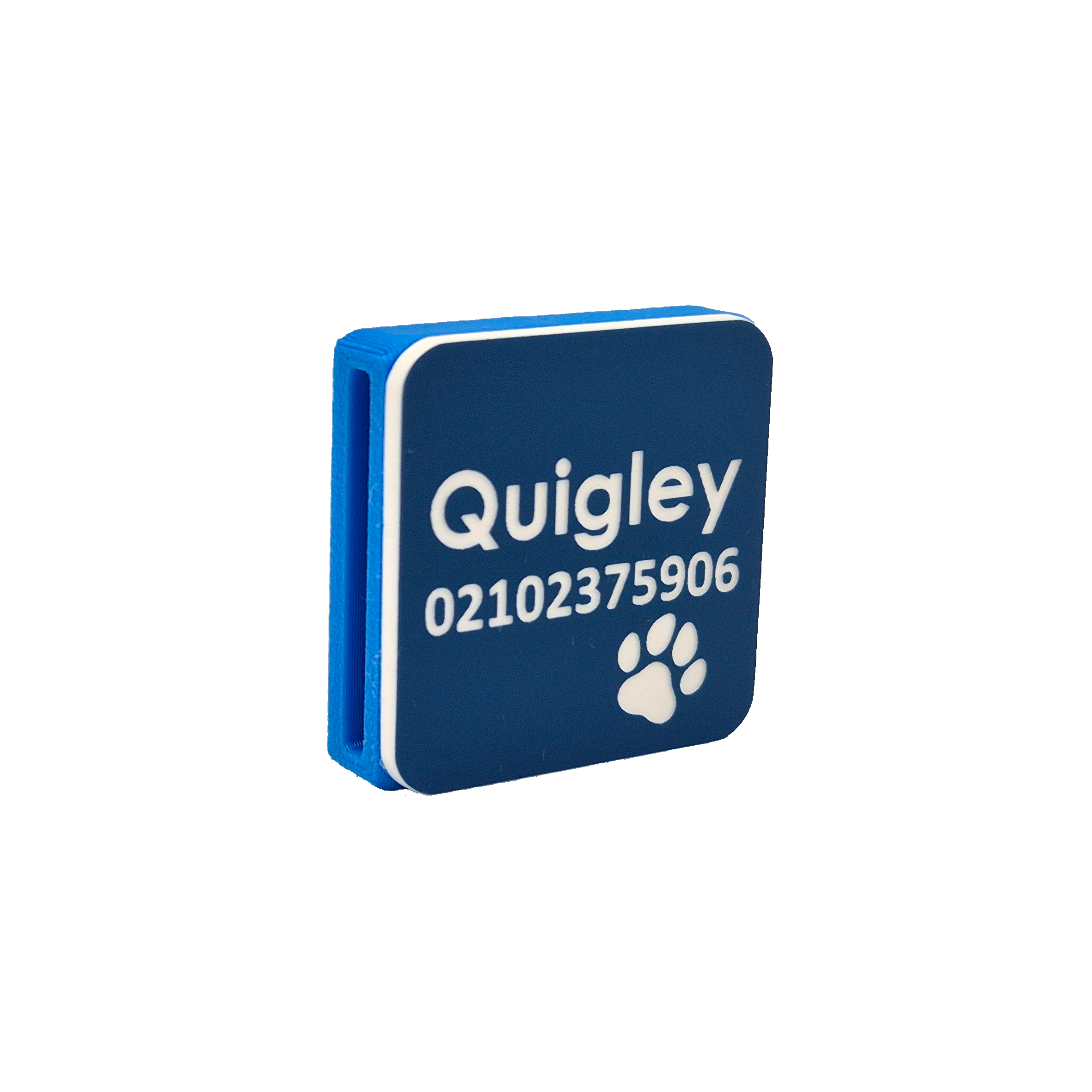 Slide-On Scrag Tag - Blue 25mm