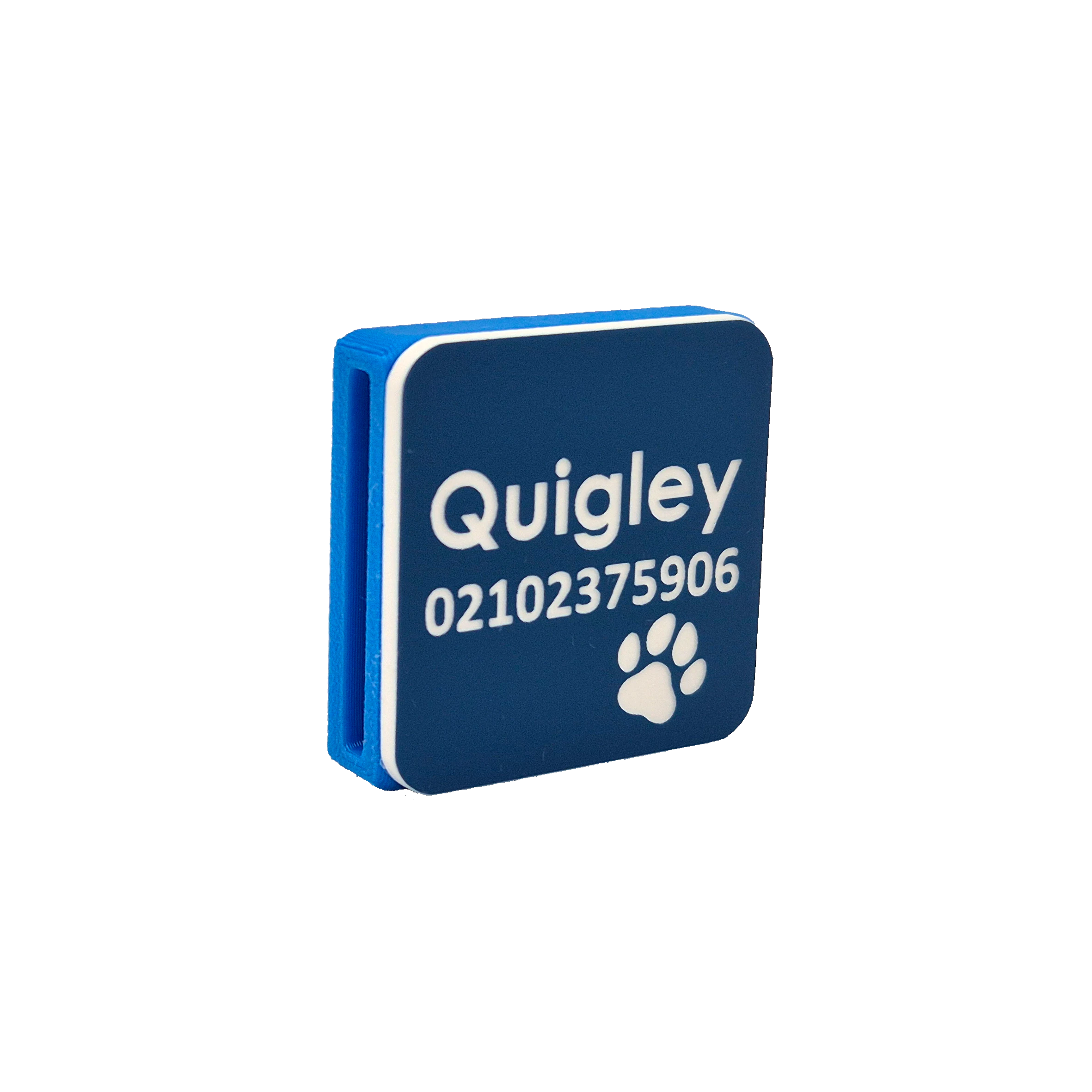 Slide-On Scrag Tag - Blue 25mm