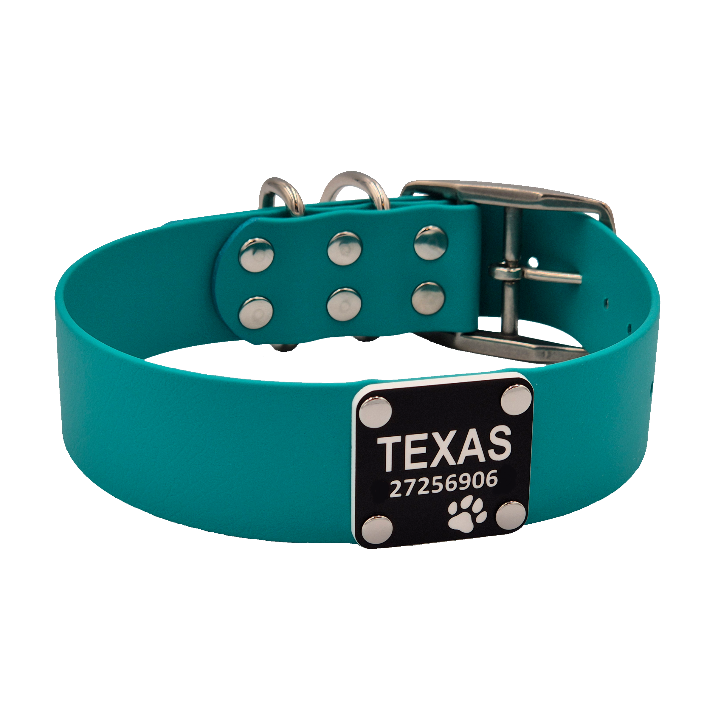Classic Dog Collar - Extra Wide - Teal and Stainless Steel with Scrag Tag
