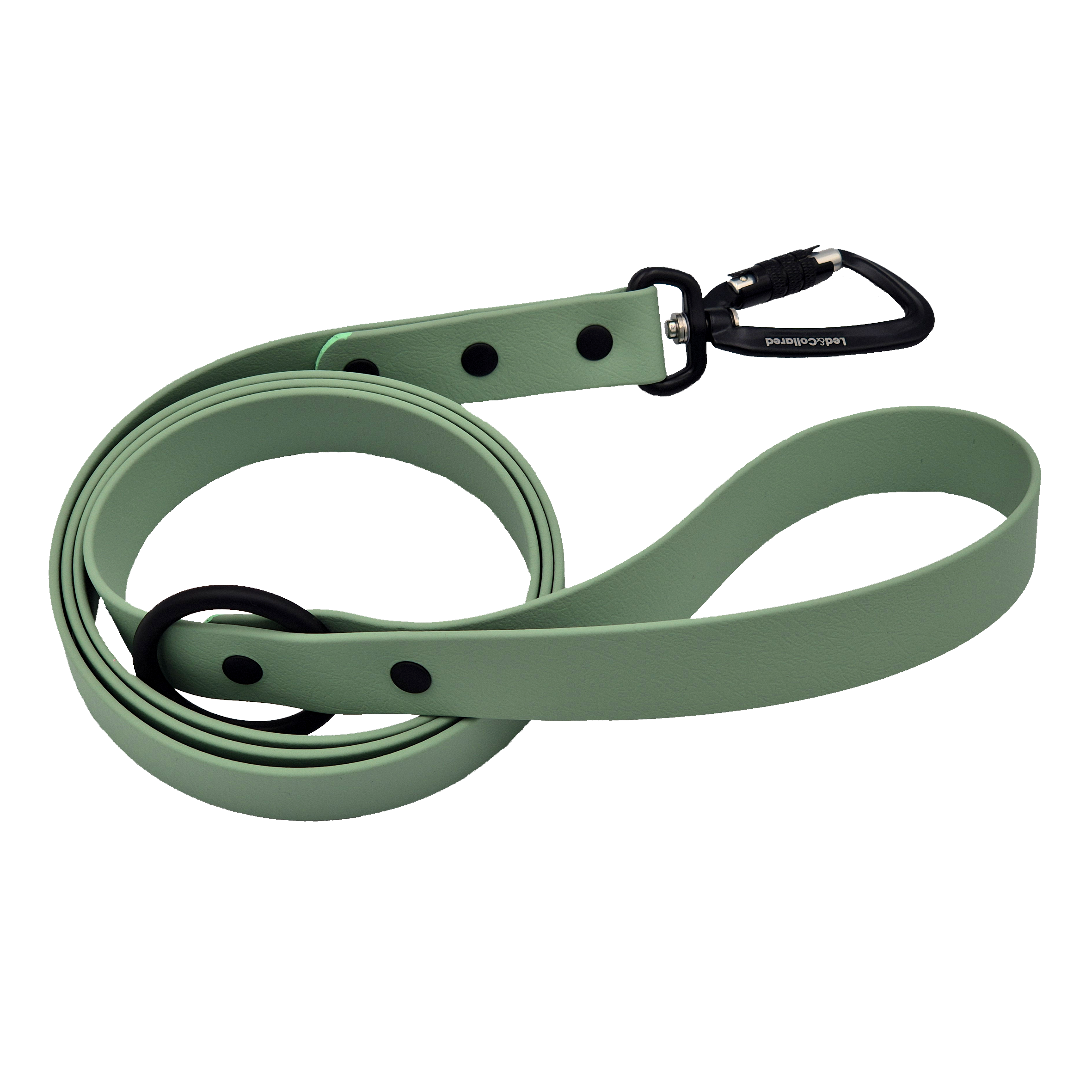 Carabiner Dog Lead - Sage and Black Hardware