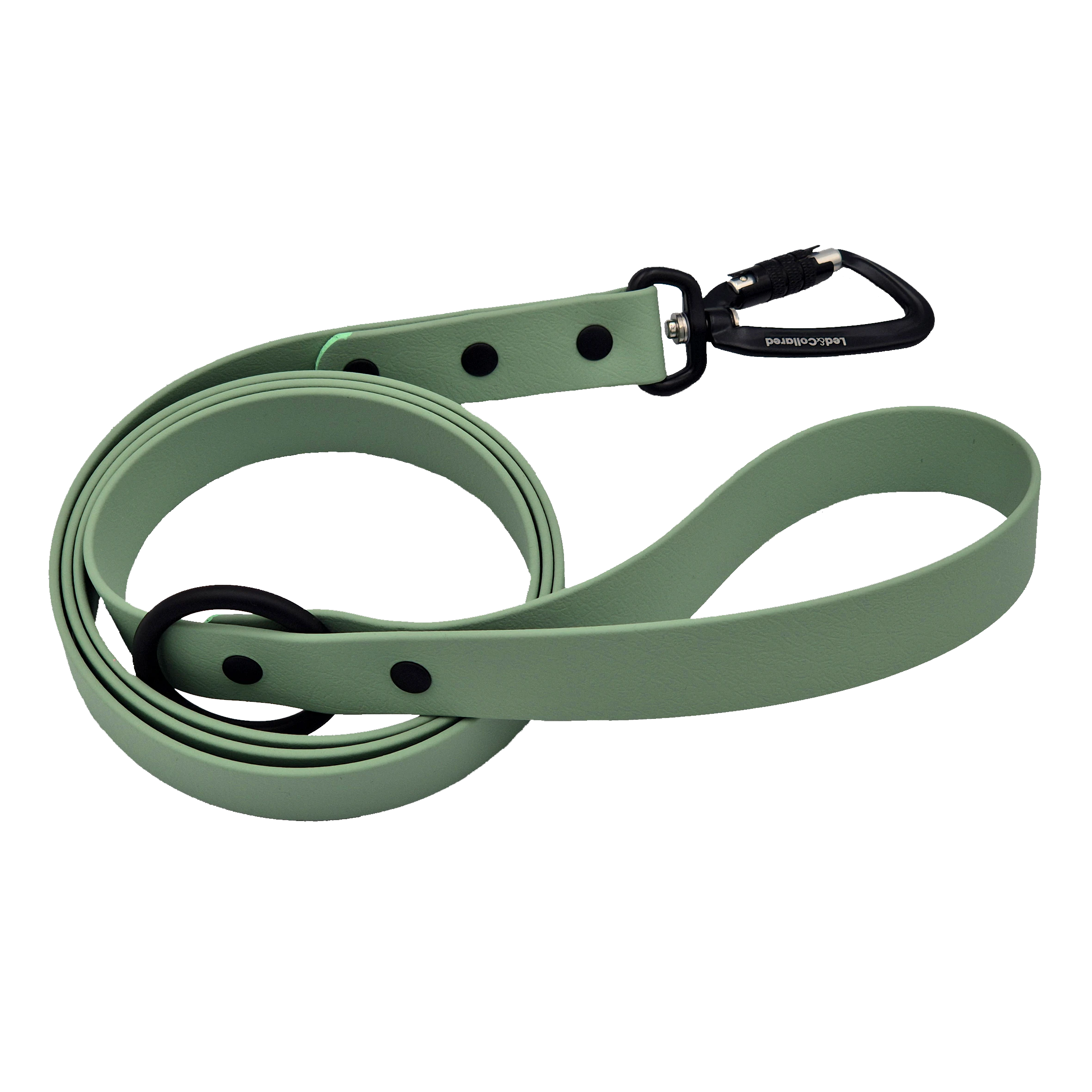 Carabiner Dog Lead - Sage and Black Hardware