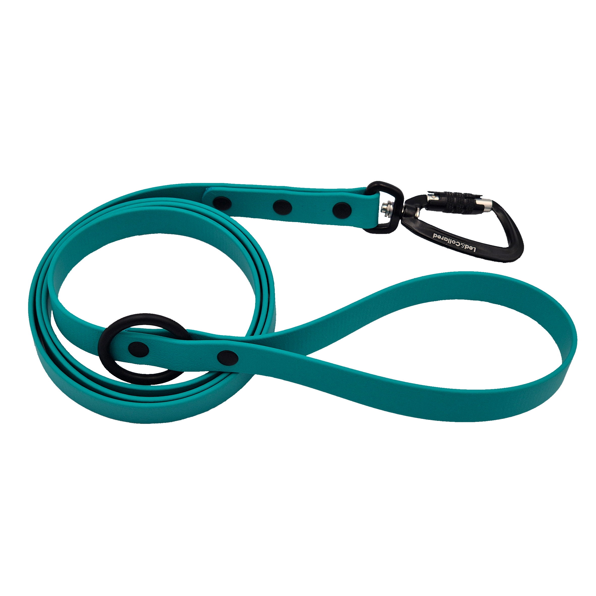 Carabiner Dog Lead - Teal and Black Hardware
