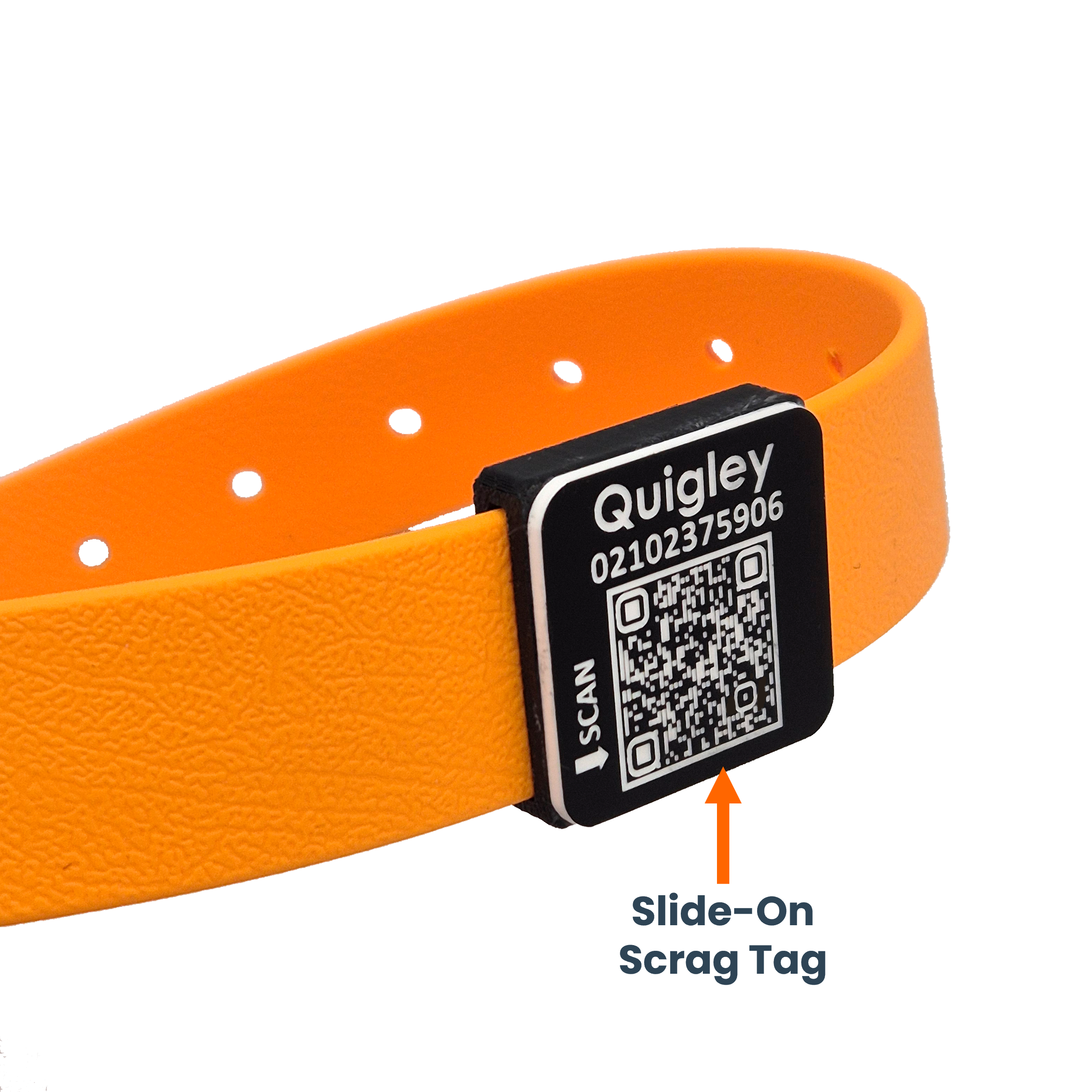 QR Code Slide-On Scrag Tag - Black and White on Orange Collar