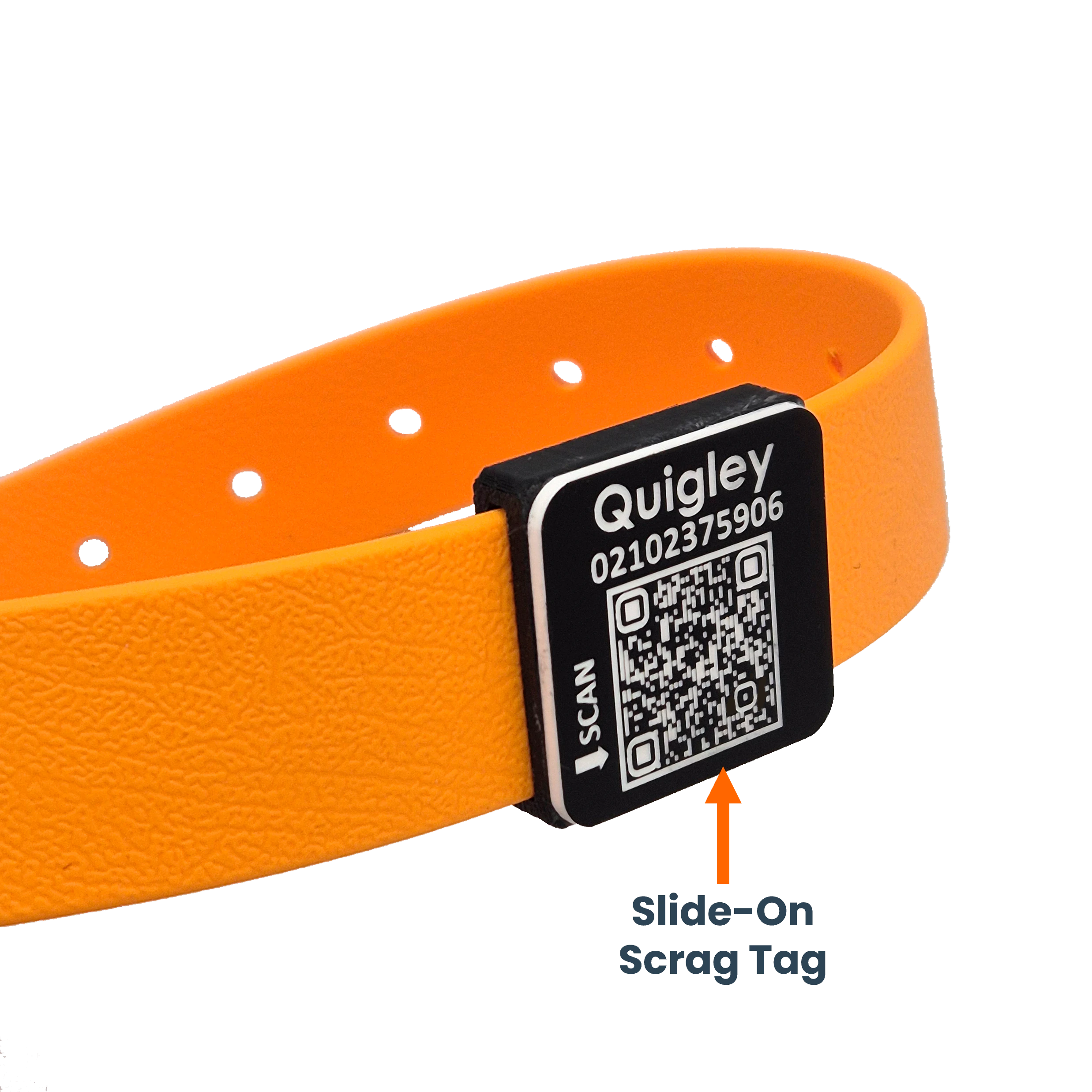 X. Track Qr Code Tag QR Code Dog Tag