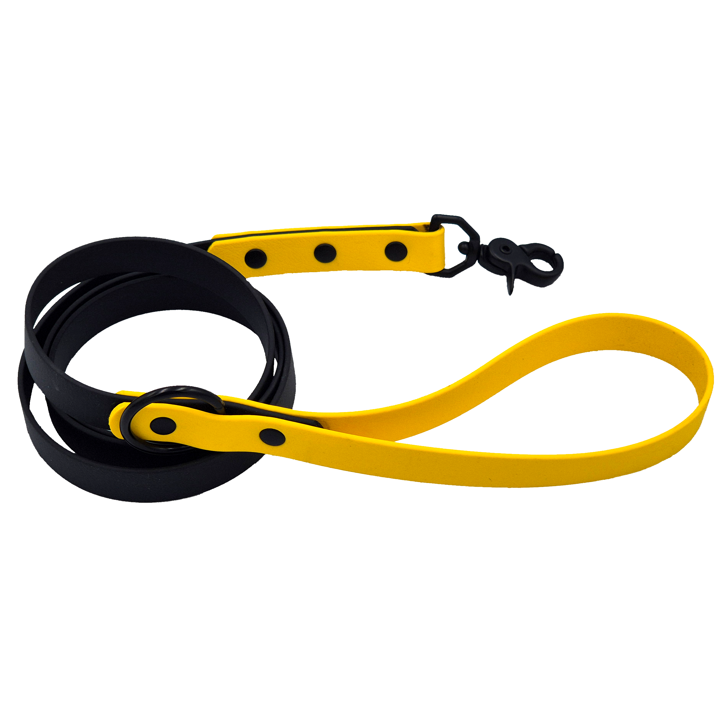 Two-Tone Classic Dog Lead - Black and Yellow - Black Brass