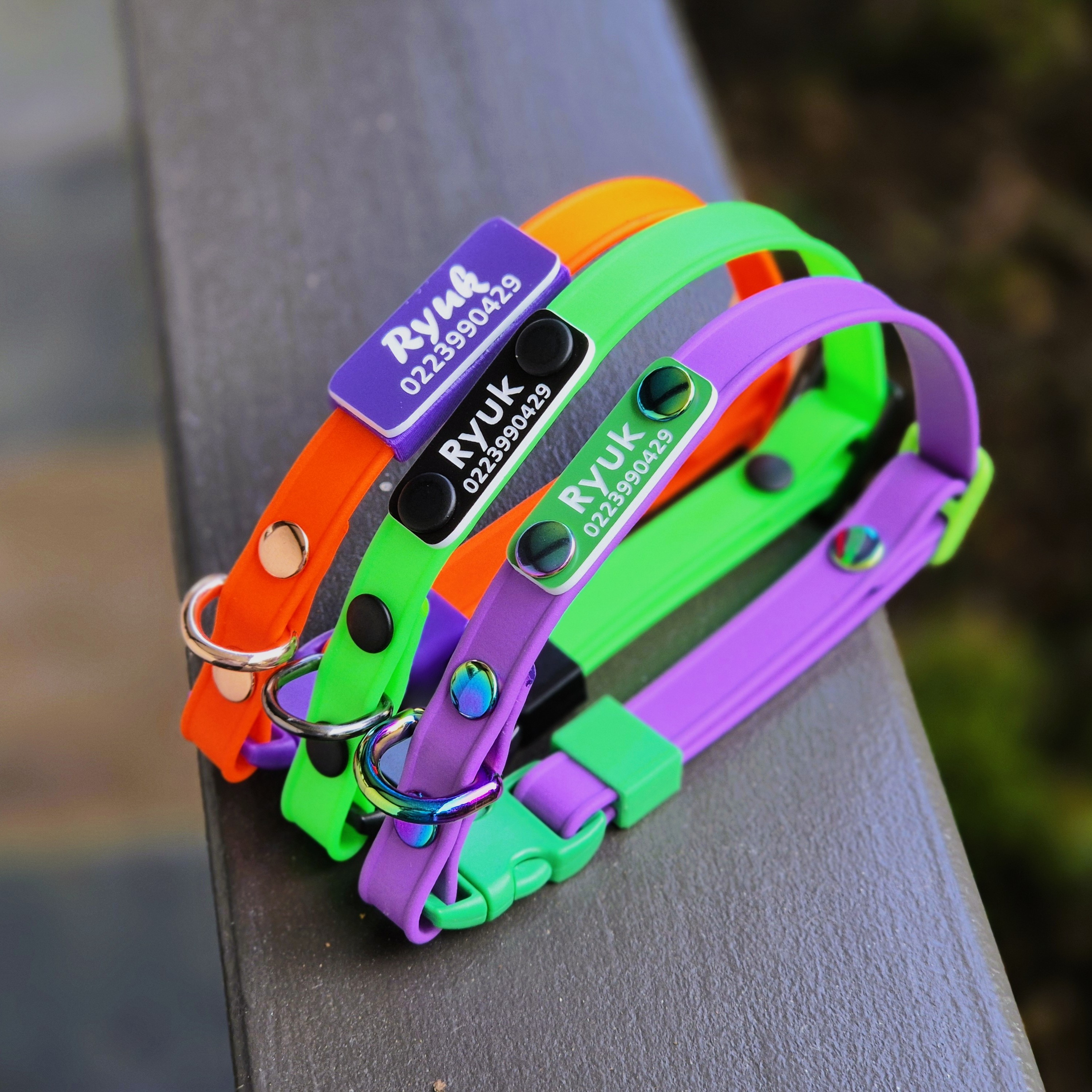 Scrag Tag Cat Collars - Mixed