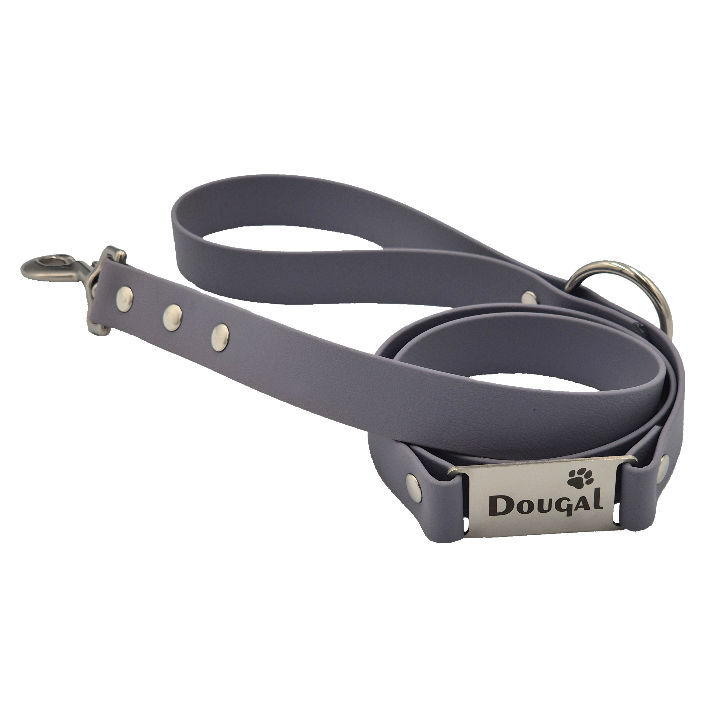 Labelled Dog Lead - Grey and Stainless Steel