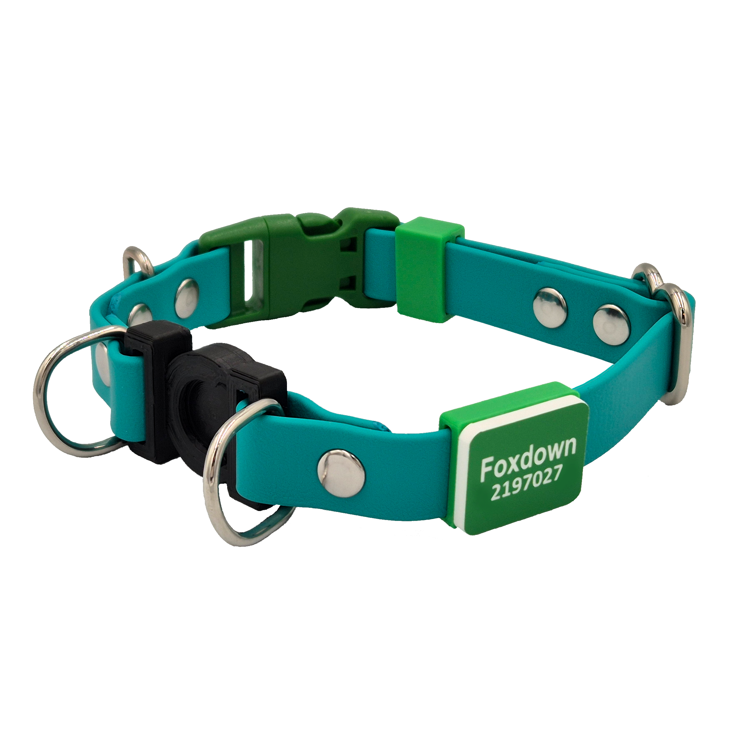 Safety Breakaway Dog Collar - Teal and Green - Slide-On Scrag Tag
