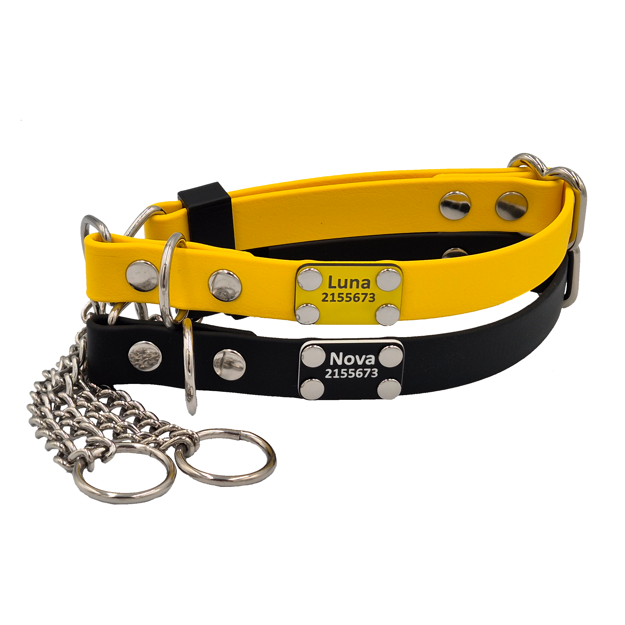Secure Dog Collars - Yellow and Black - Stainless Steel - Riveted Scrag Tags