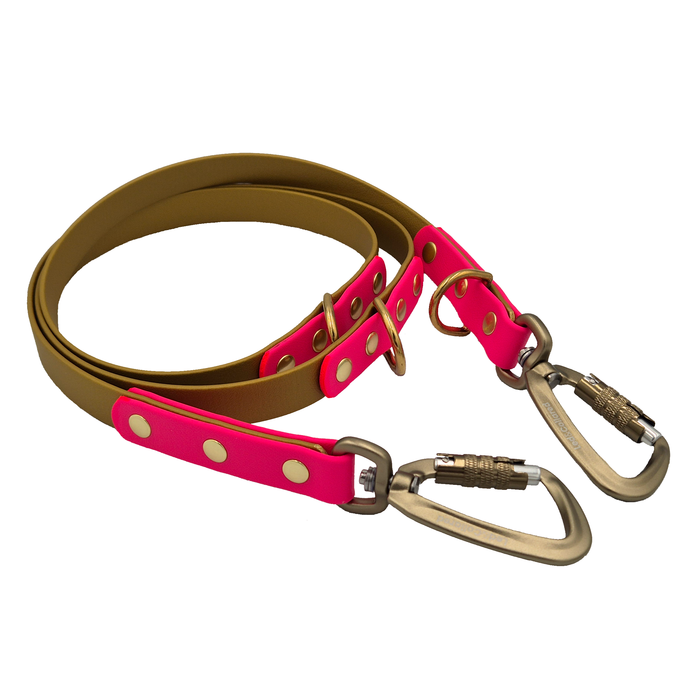 Adjustable Dog Lead - Gold and Passion Pink - Gold Carabiner