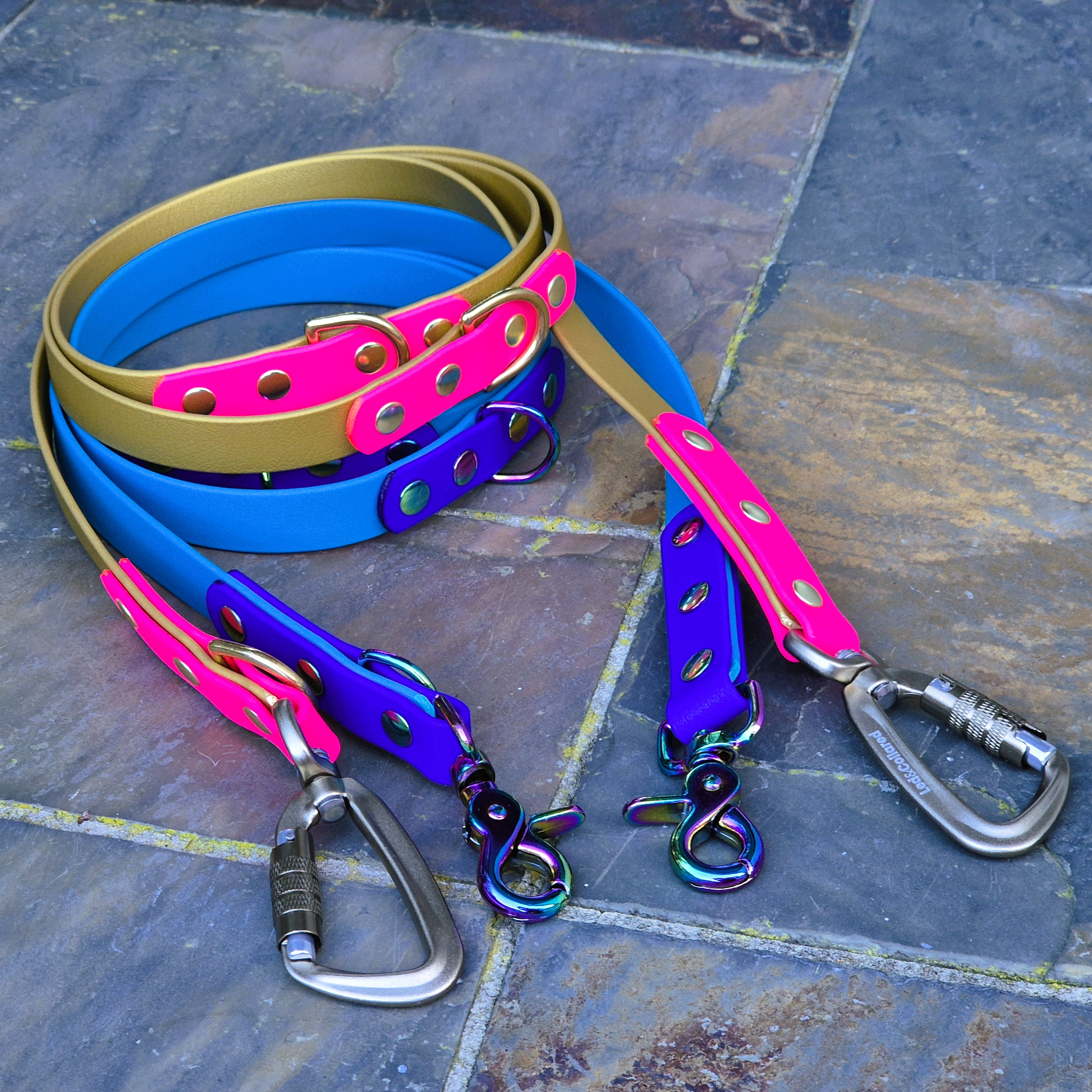 Adjustable Dog Leads - Mixed - Neo and Gold Carabiner