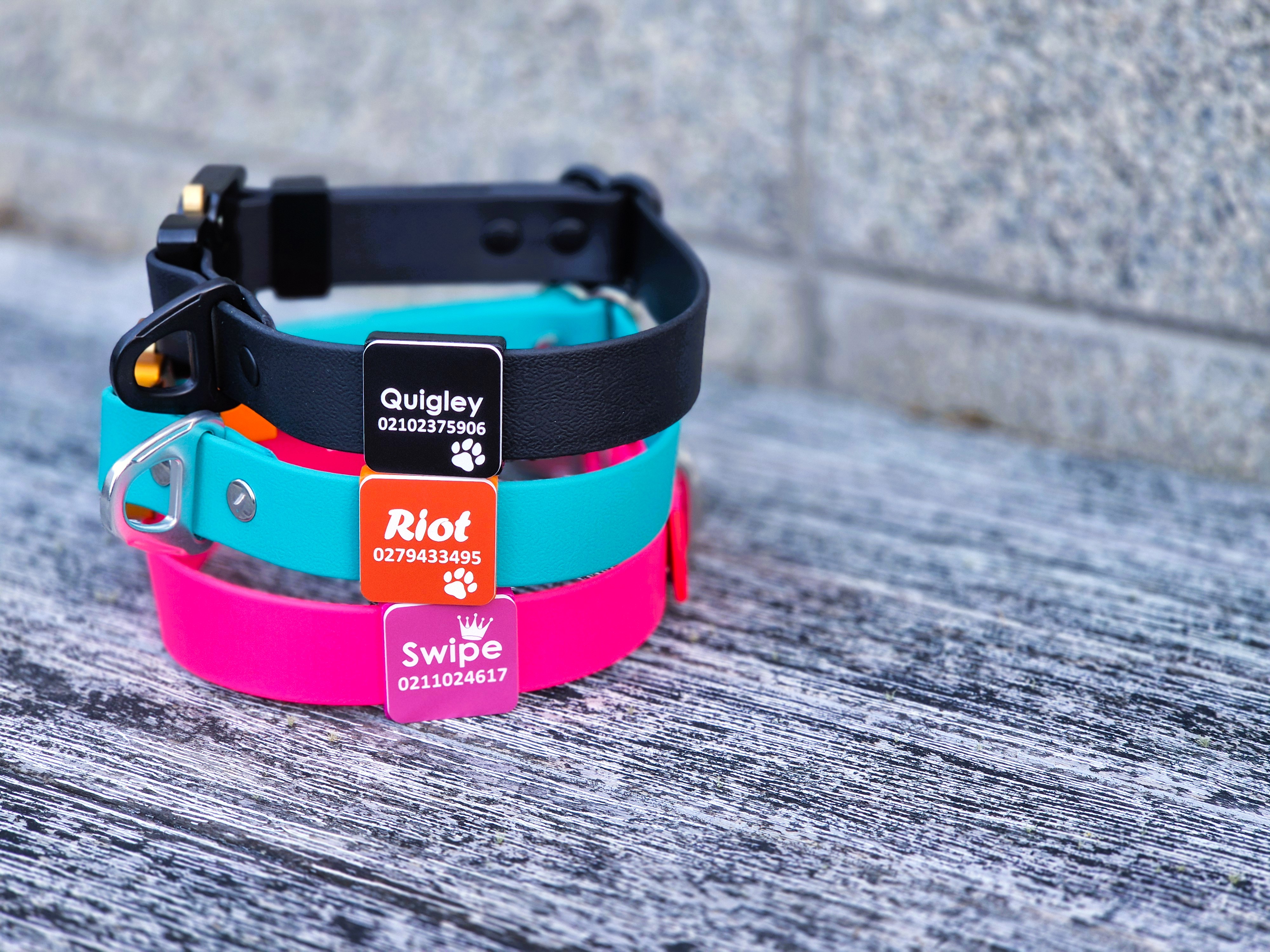Dog collars - mixed - slide-on scrag tags