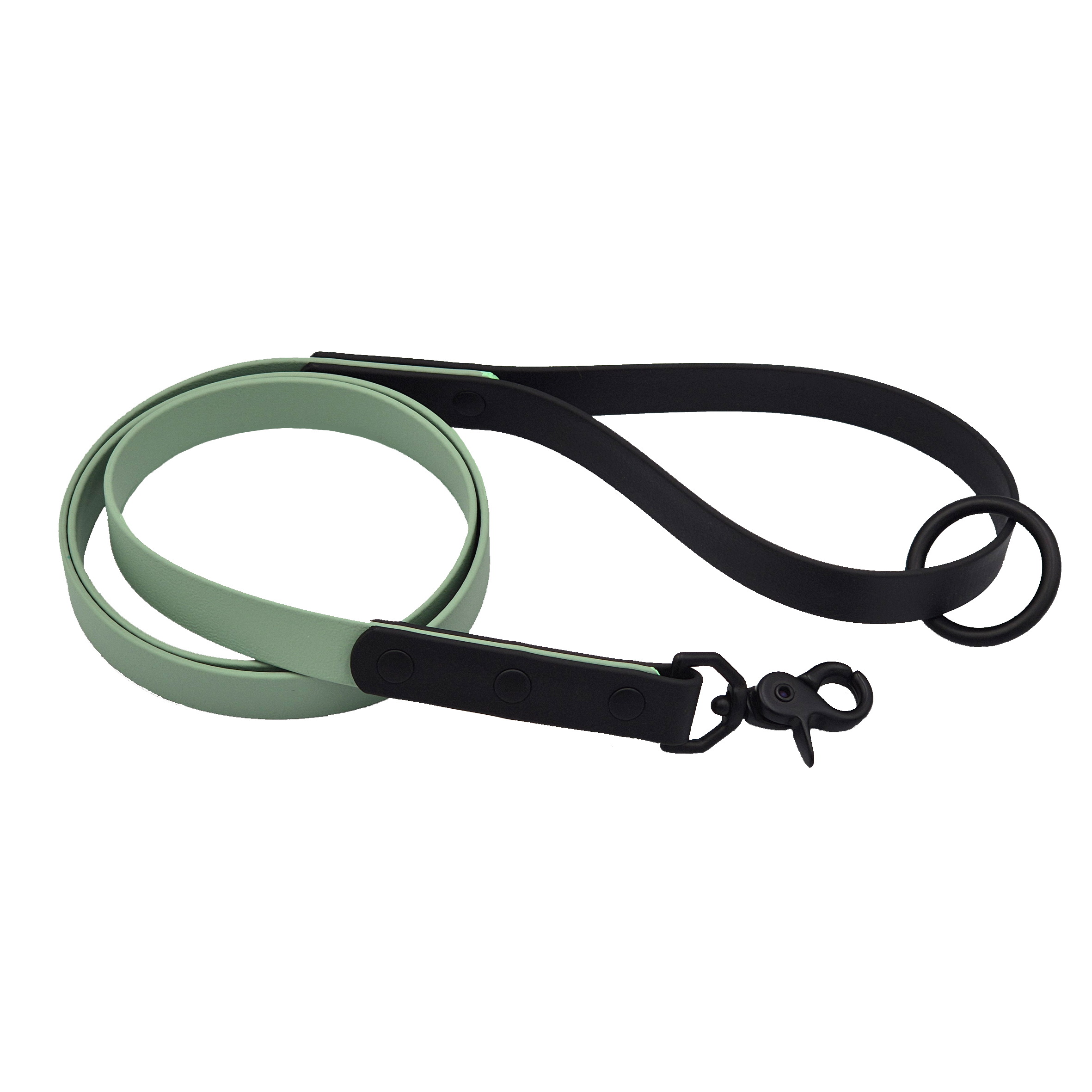 Two-Tone Classic Dog Lead - Slim - Sage and Black with Black Brass