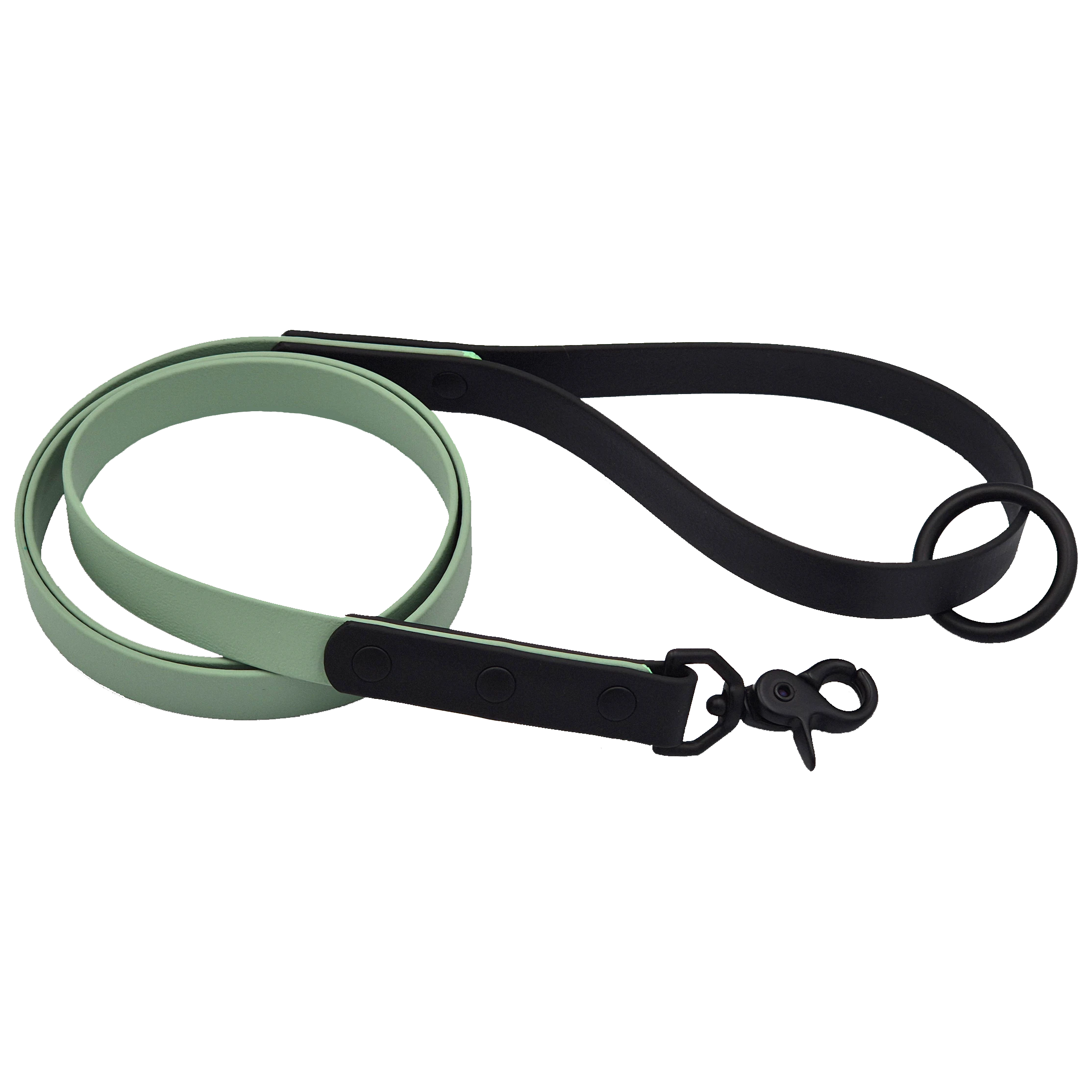 Two-Tone Classic Dog Lead - Slim - Sage and Black with Black Brass
