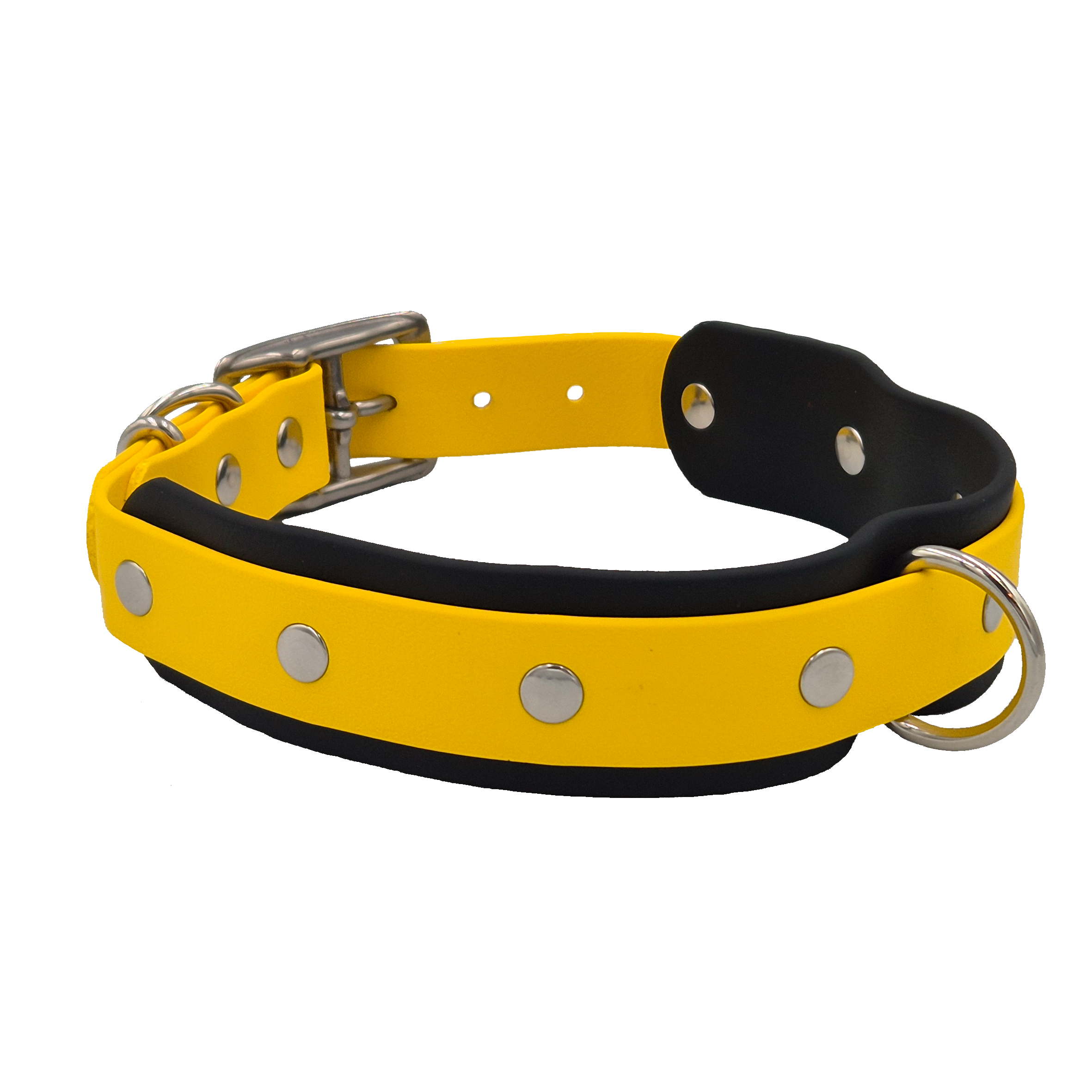 Tactical Dog Collar - Black and Yellow
