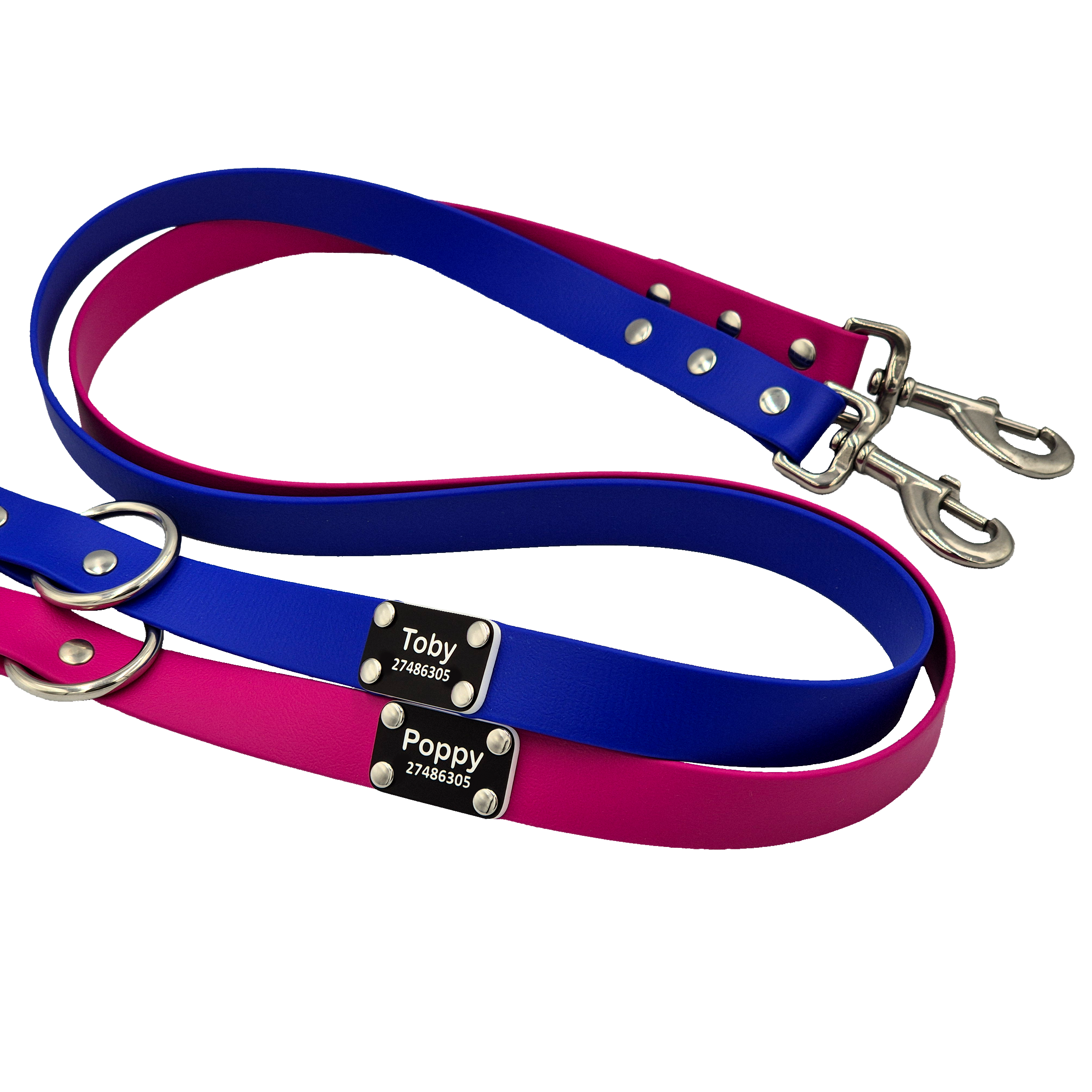 Classic Dog Lead - Mixed - Magenta and Royal Blue - Scrag Tag