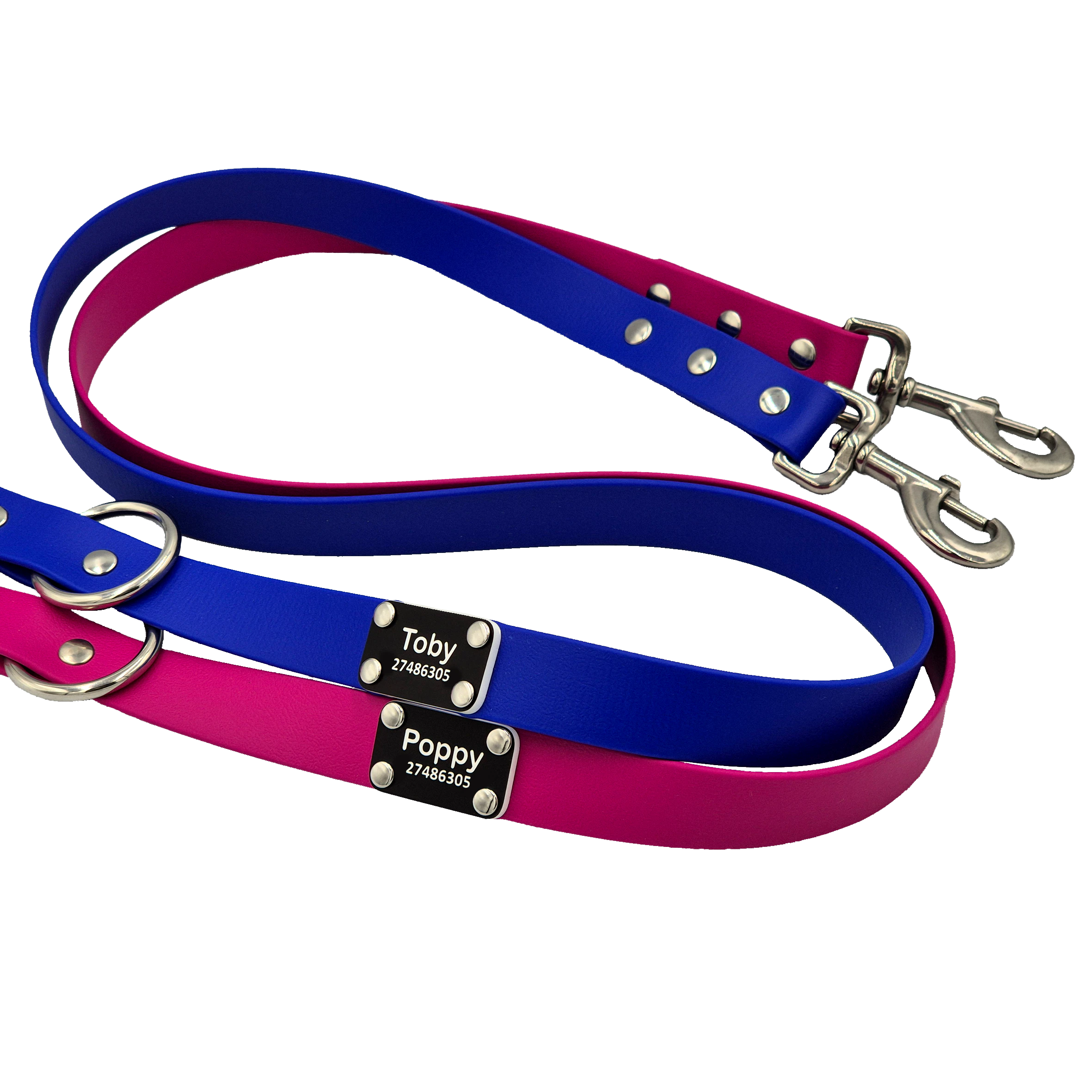 Classic Dog Lead - Mixed - Magenta and Royal Blue - Scrag Tag