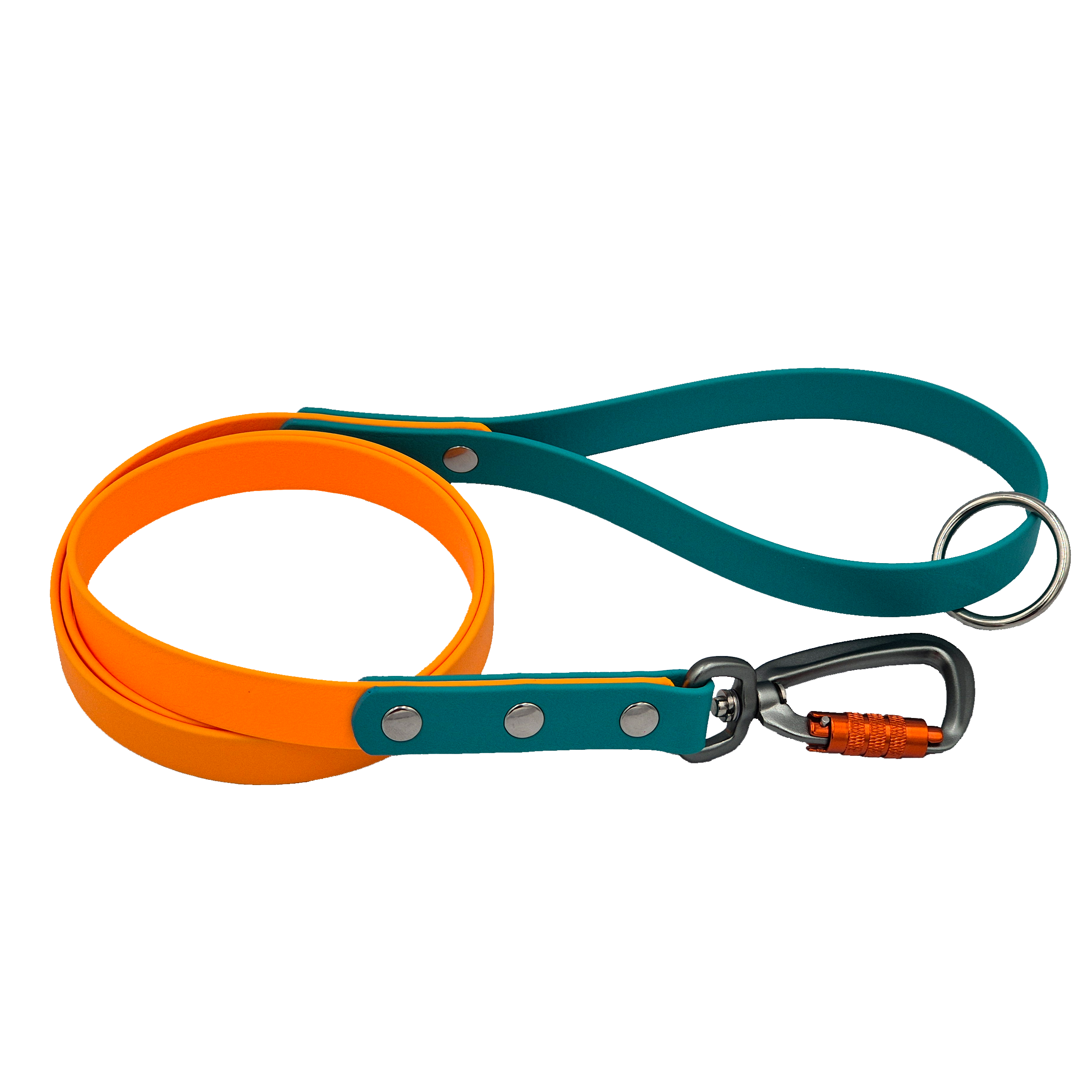 Two-Tone Carabiner Lead - Light Orange and Teal