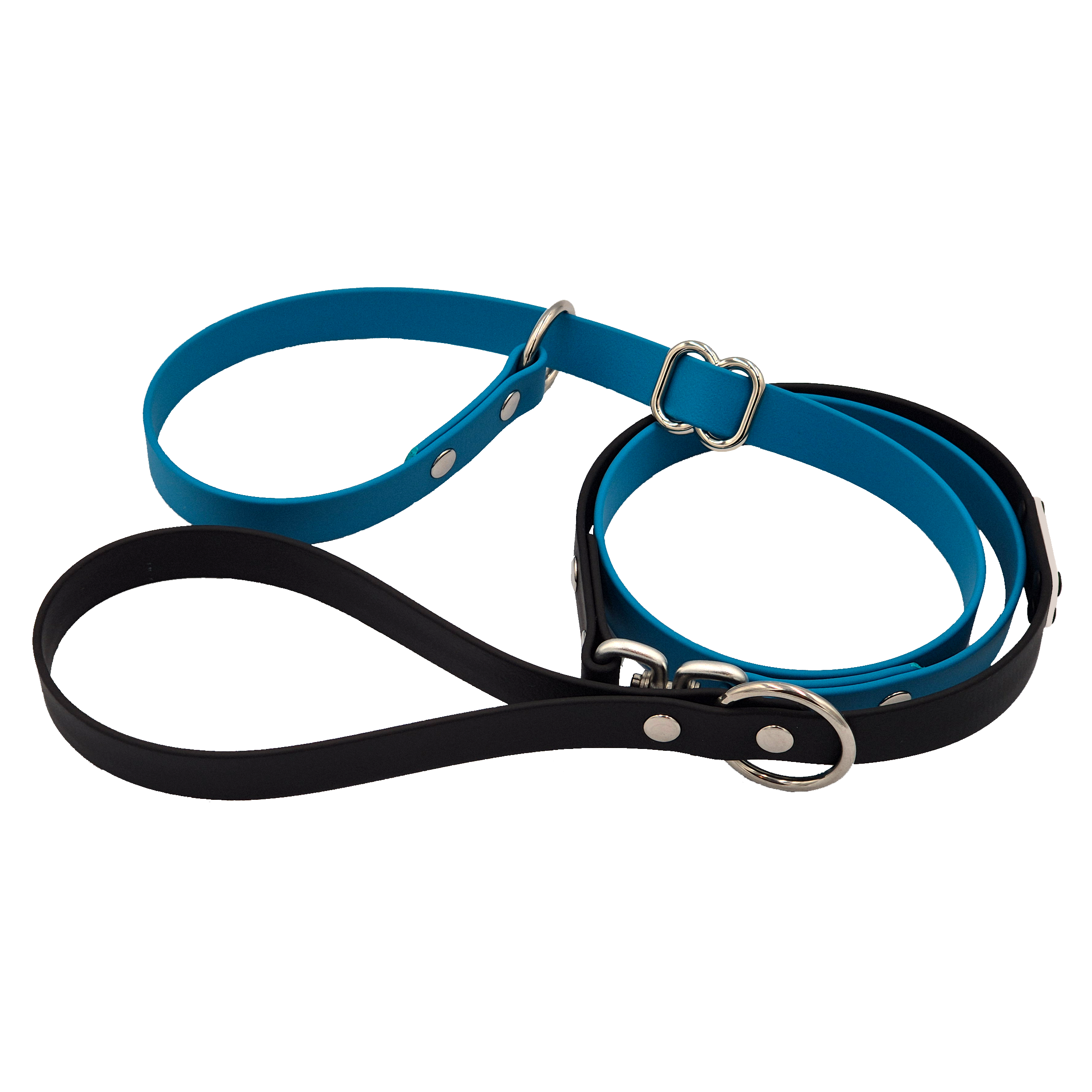Slip Lead - Black and Lagune Blue - Silver