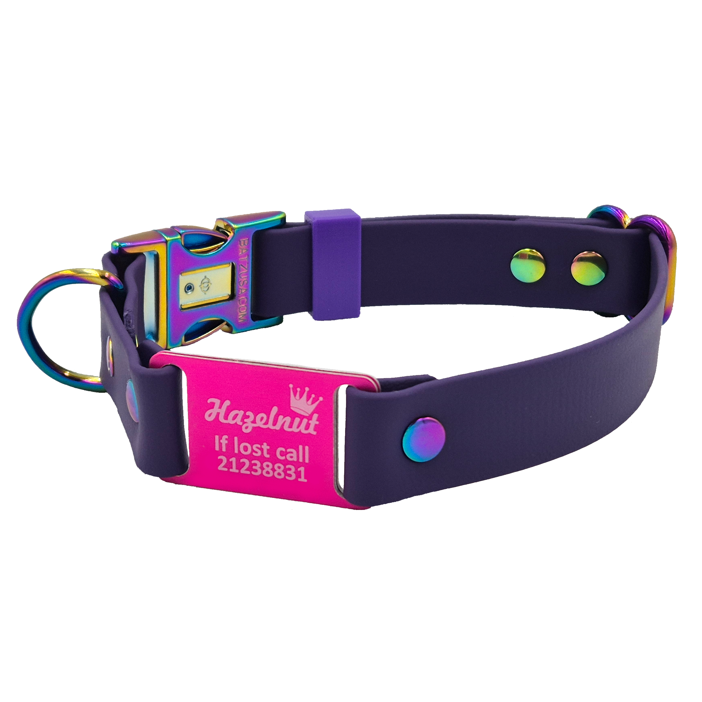 Quick Release Scrag Tag Dog Collar - Violet and Neo