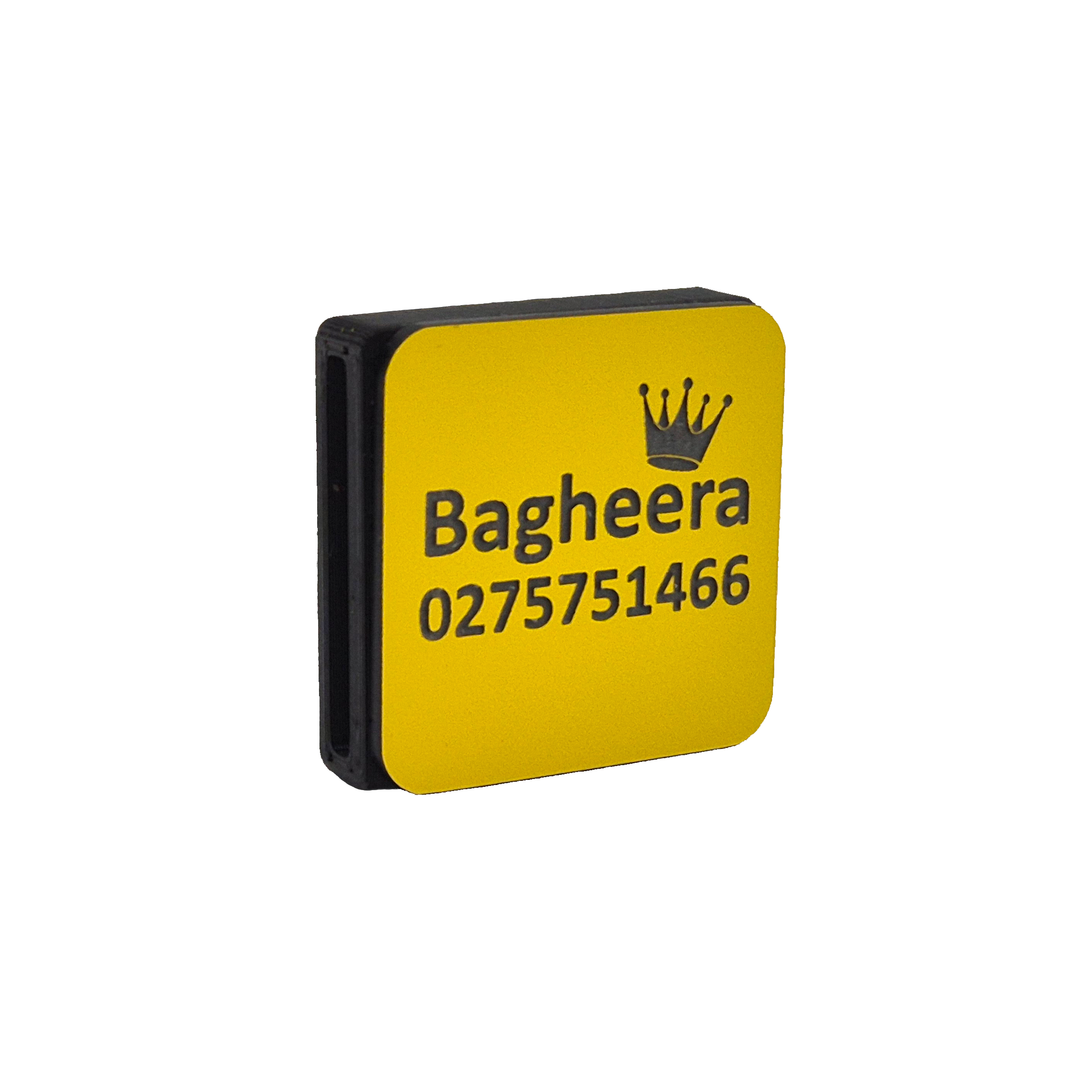 Slide-On Scrag Tag - Yellow and Black