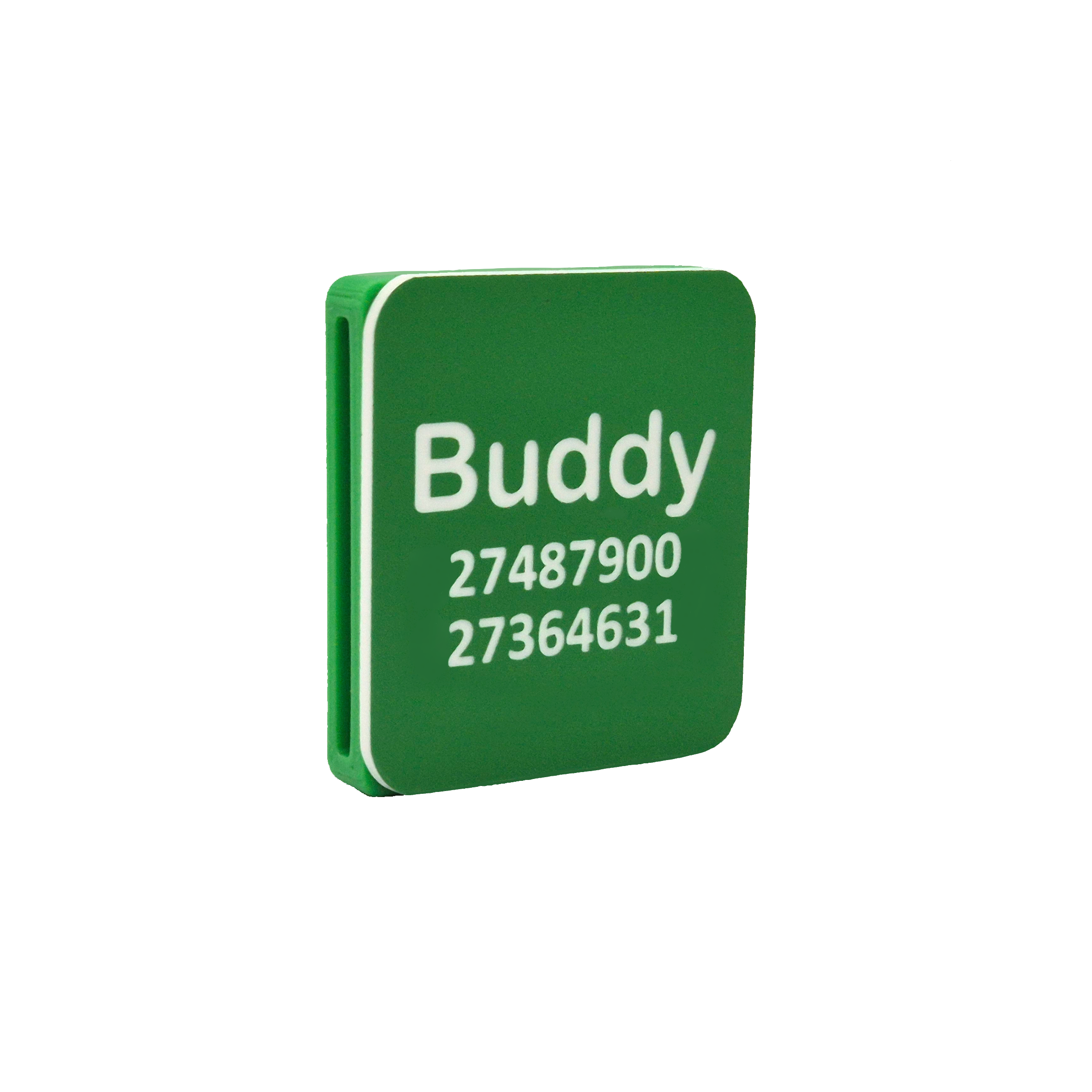 Slide-On Scrag Tag - Green ans White