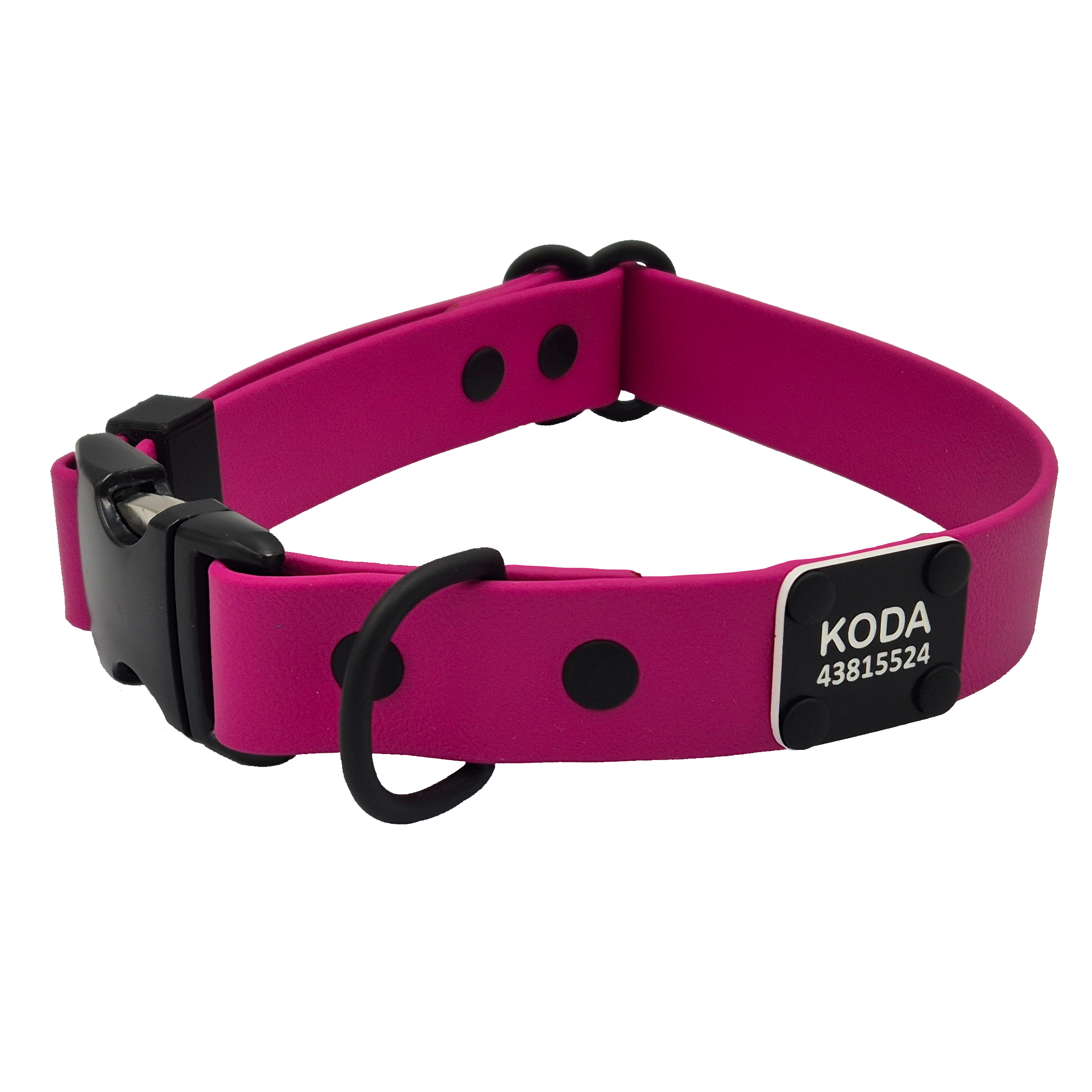 Quick Release Dog Collar - Magenta and Black.Gunmetal - Riveted Scrag