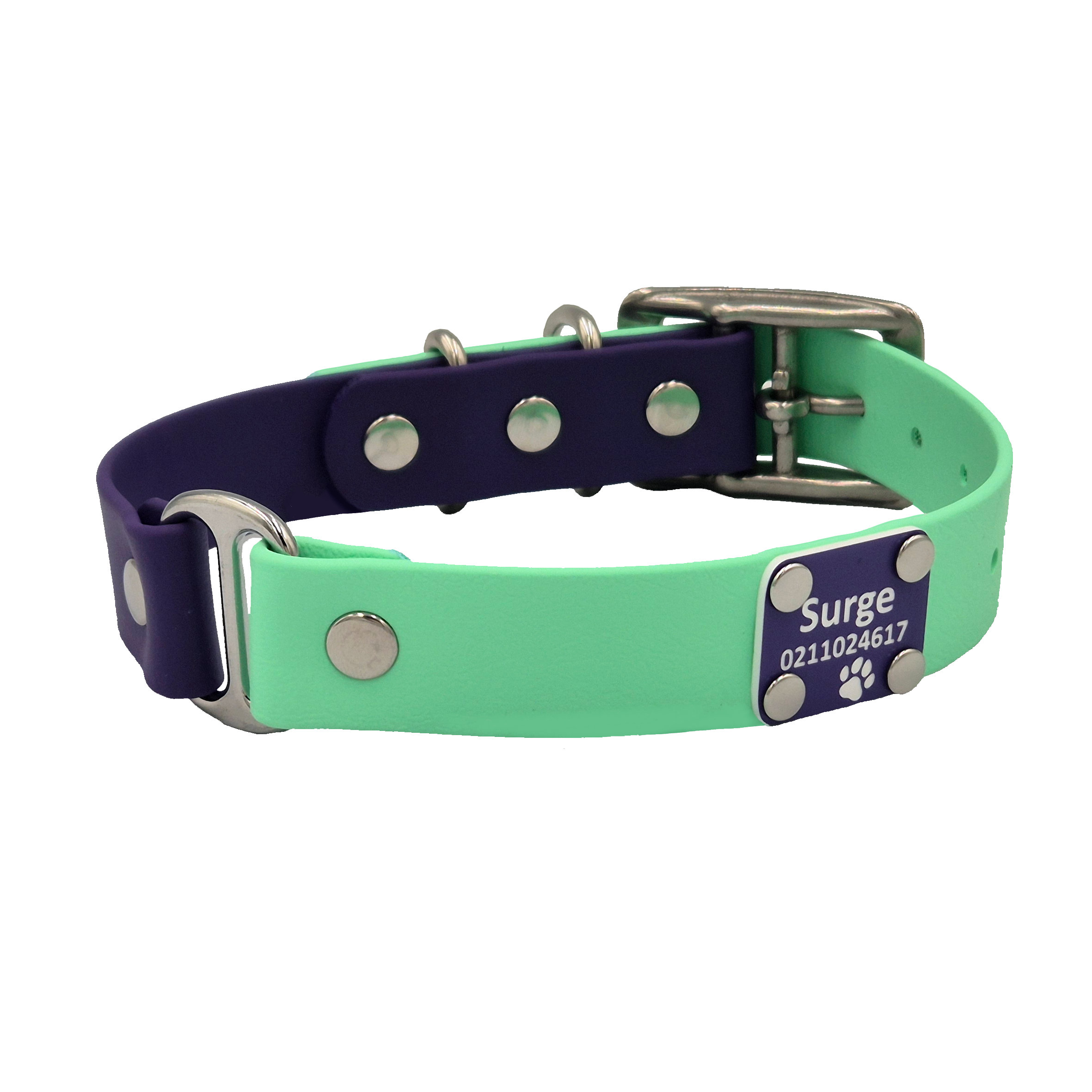 Two-Tone Dog Collar - Violet and Seafoam - Stainless - Riveted Scrag