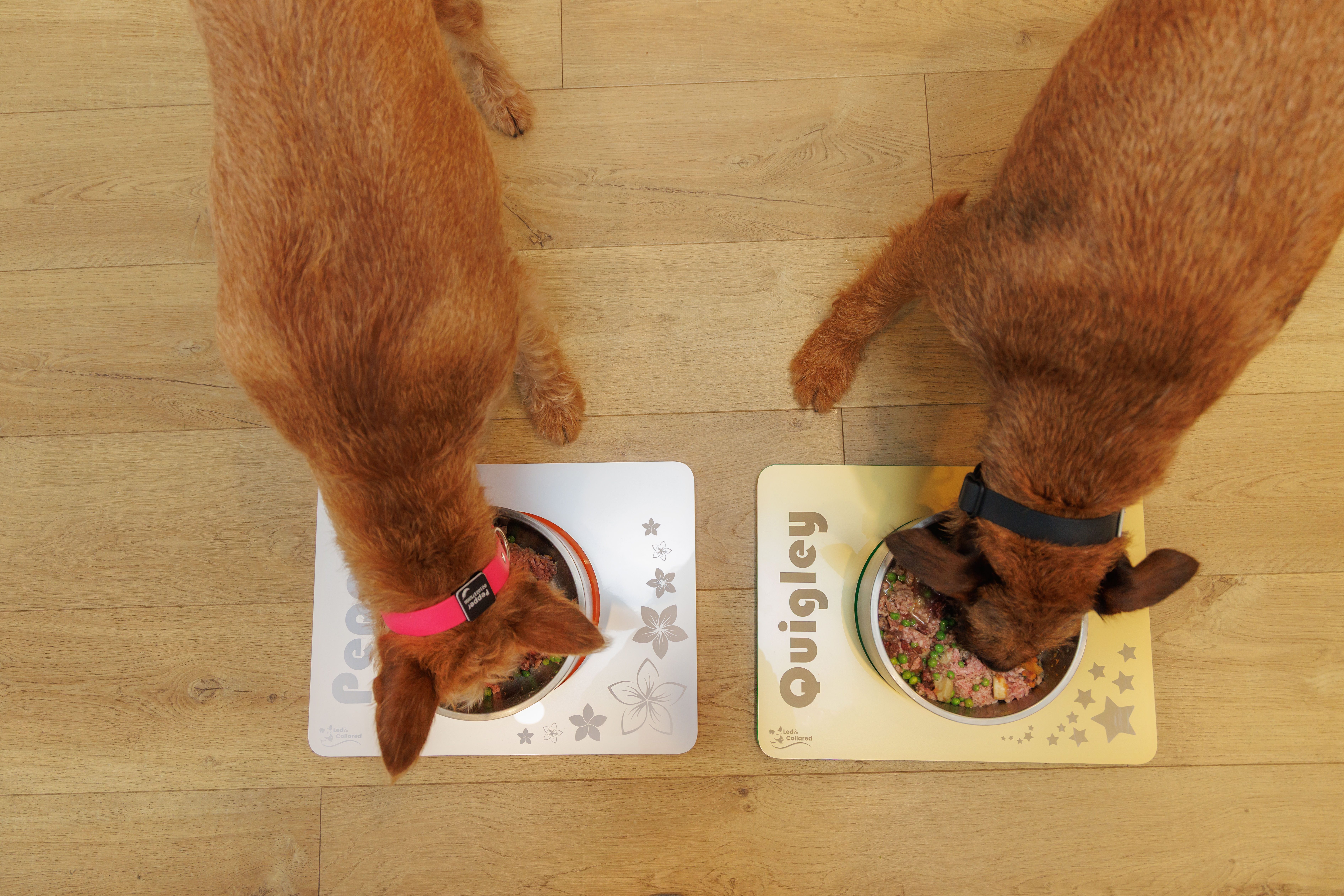 Pepper and Quigley - Feeding Mats - Top