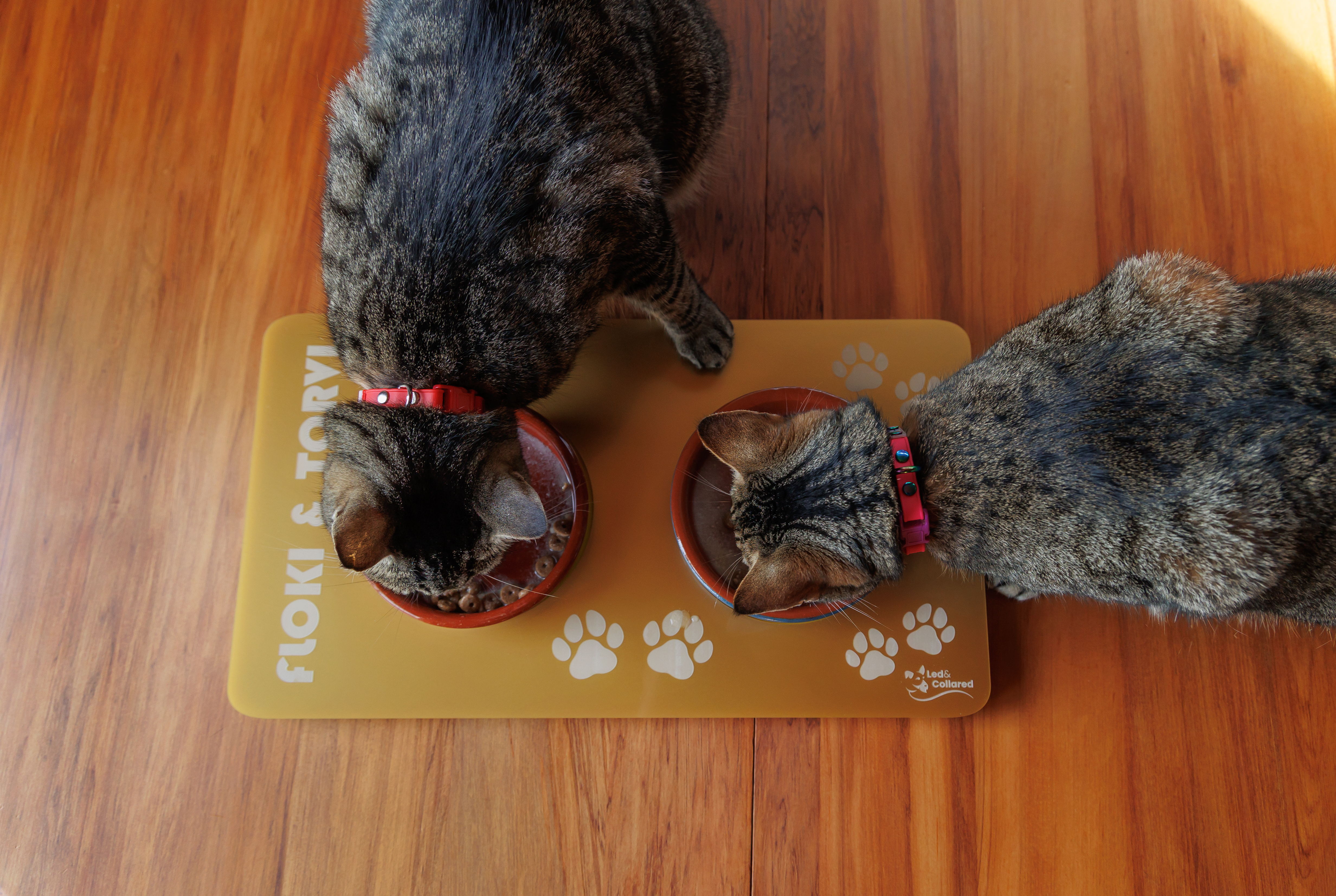 Double Cat Feeding Mat - Gold and Yellow - Floki and Torvi
