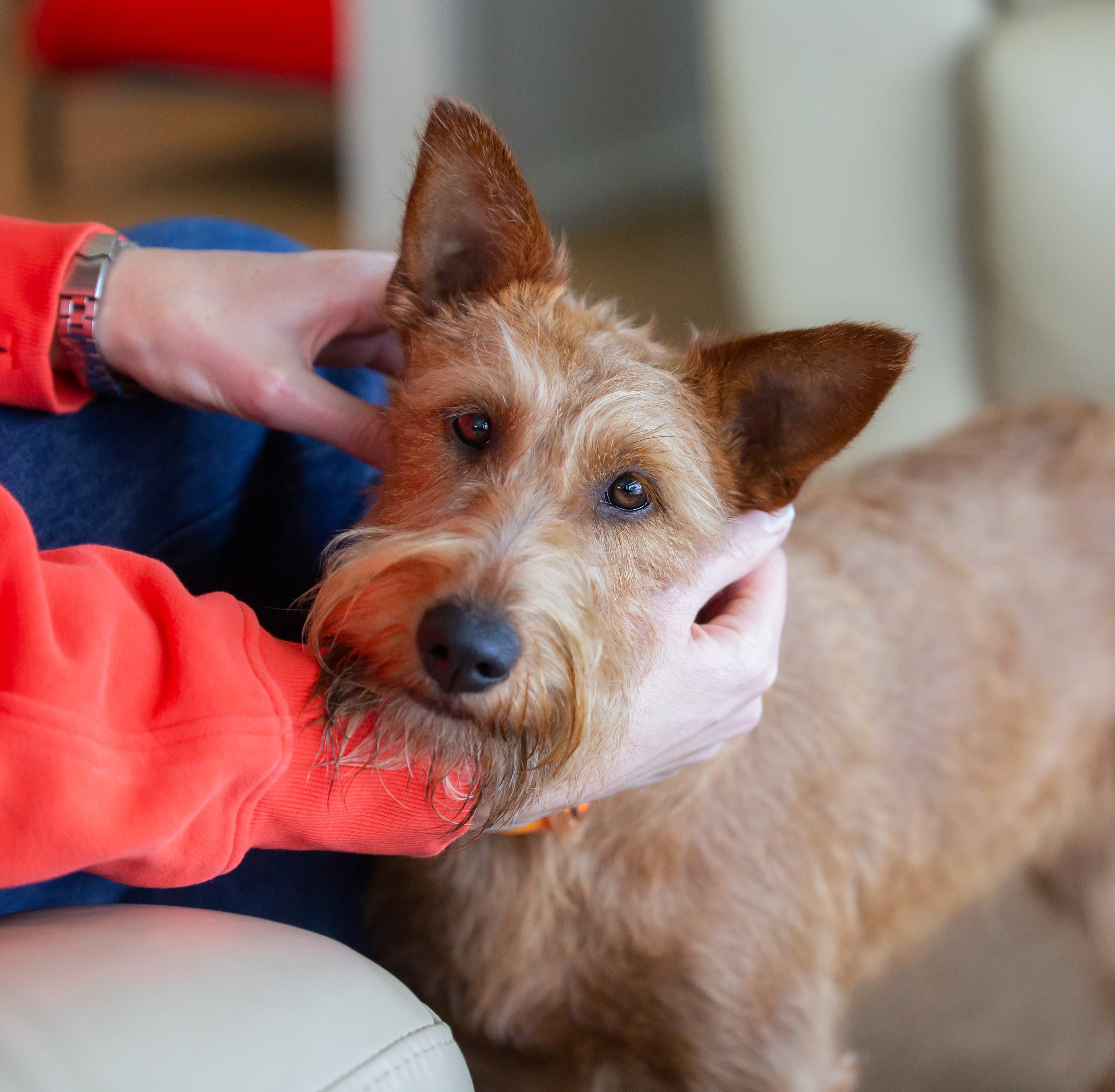 Jo Moore Photographer