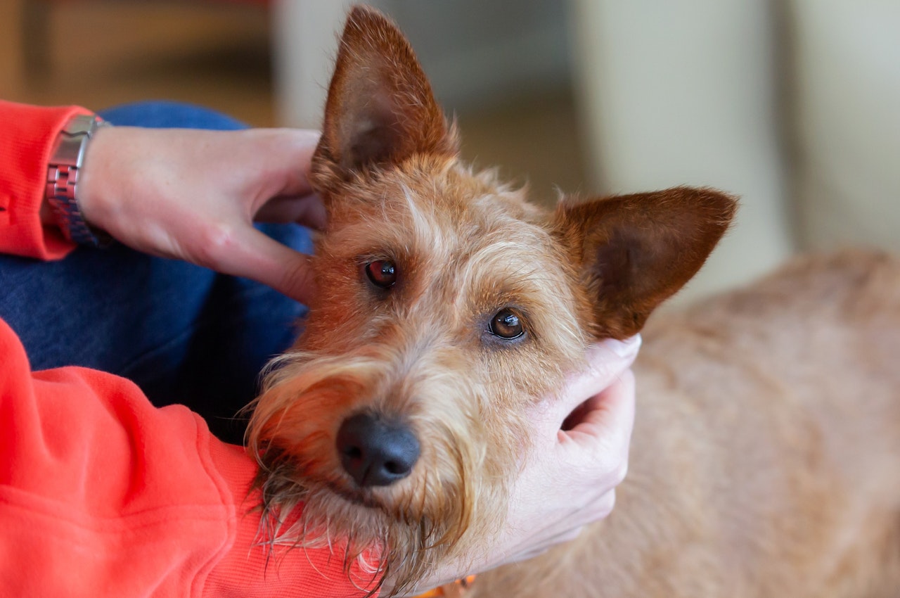 Jo Moore Photographer