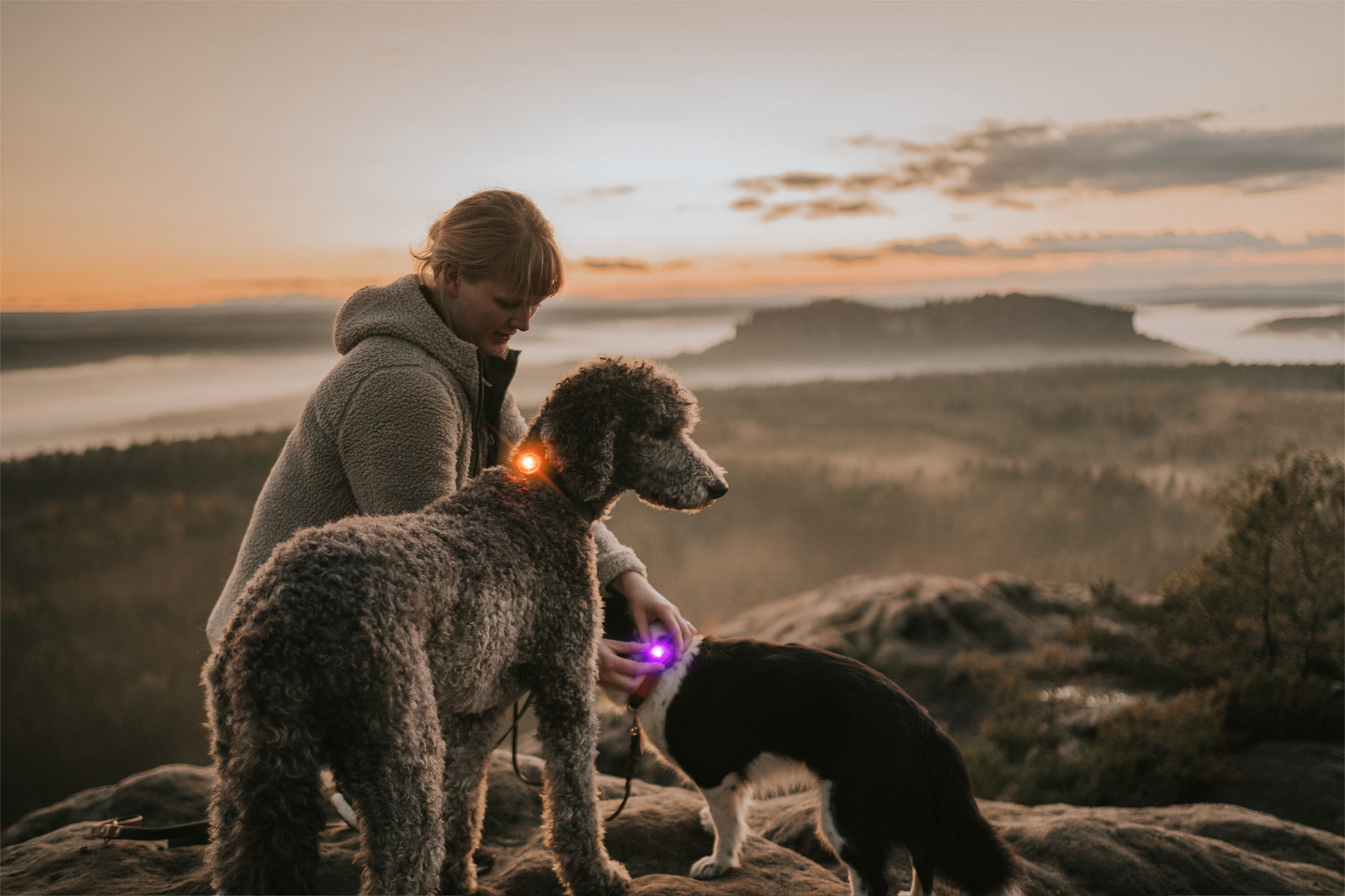 Orbiloc Dual Dog Safety Light - on dogs out hiking