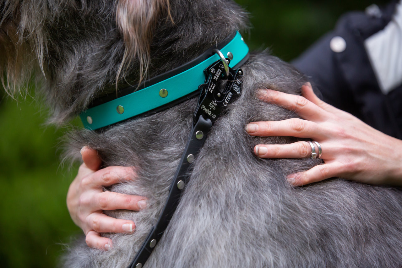 Tactical Dog Lead - Irish Wolf Hound