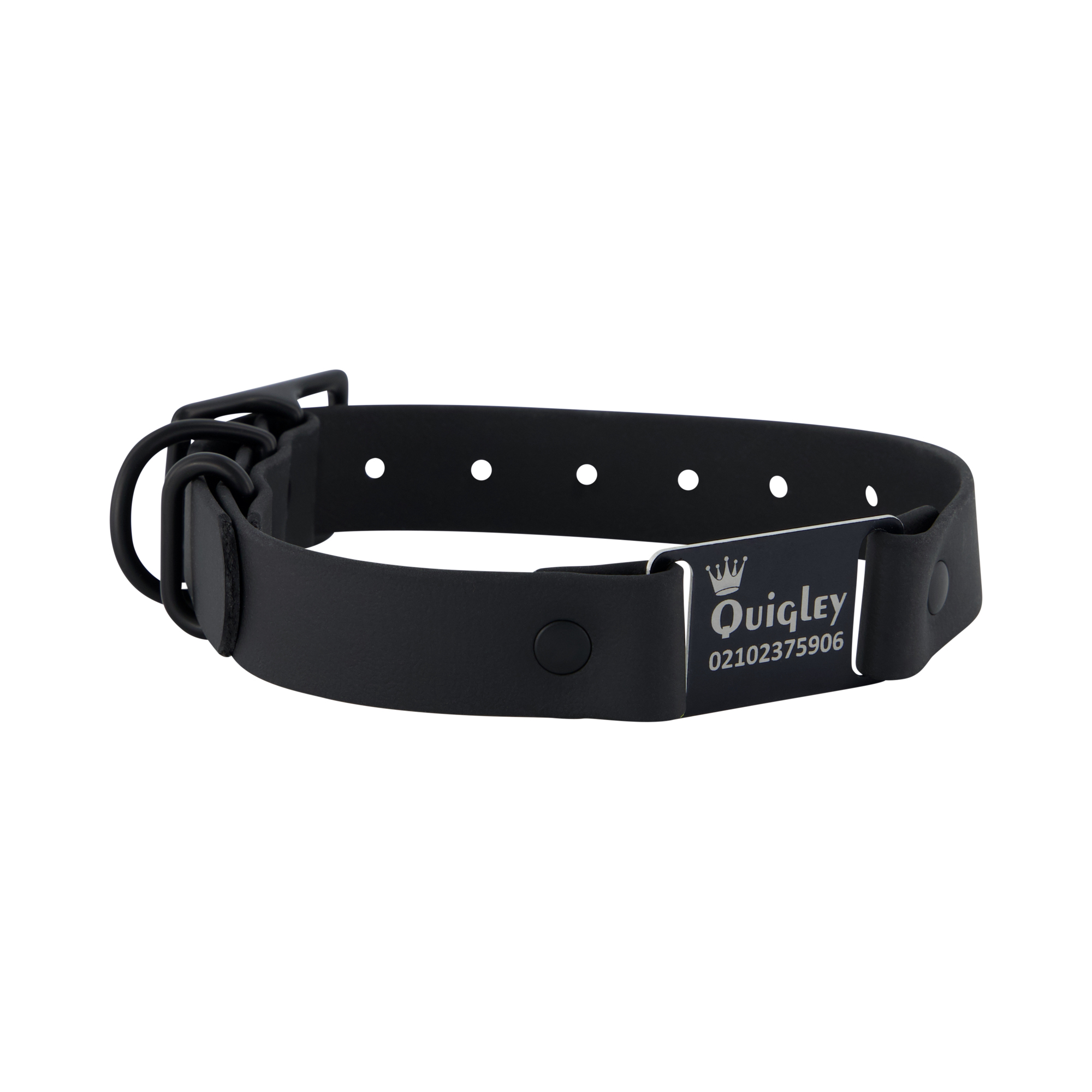 Classic Scrag Tag Collar - Black