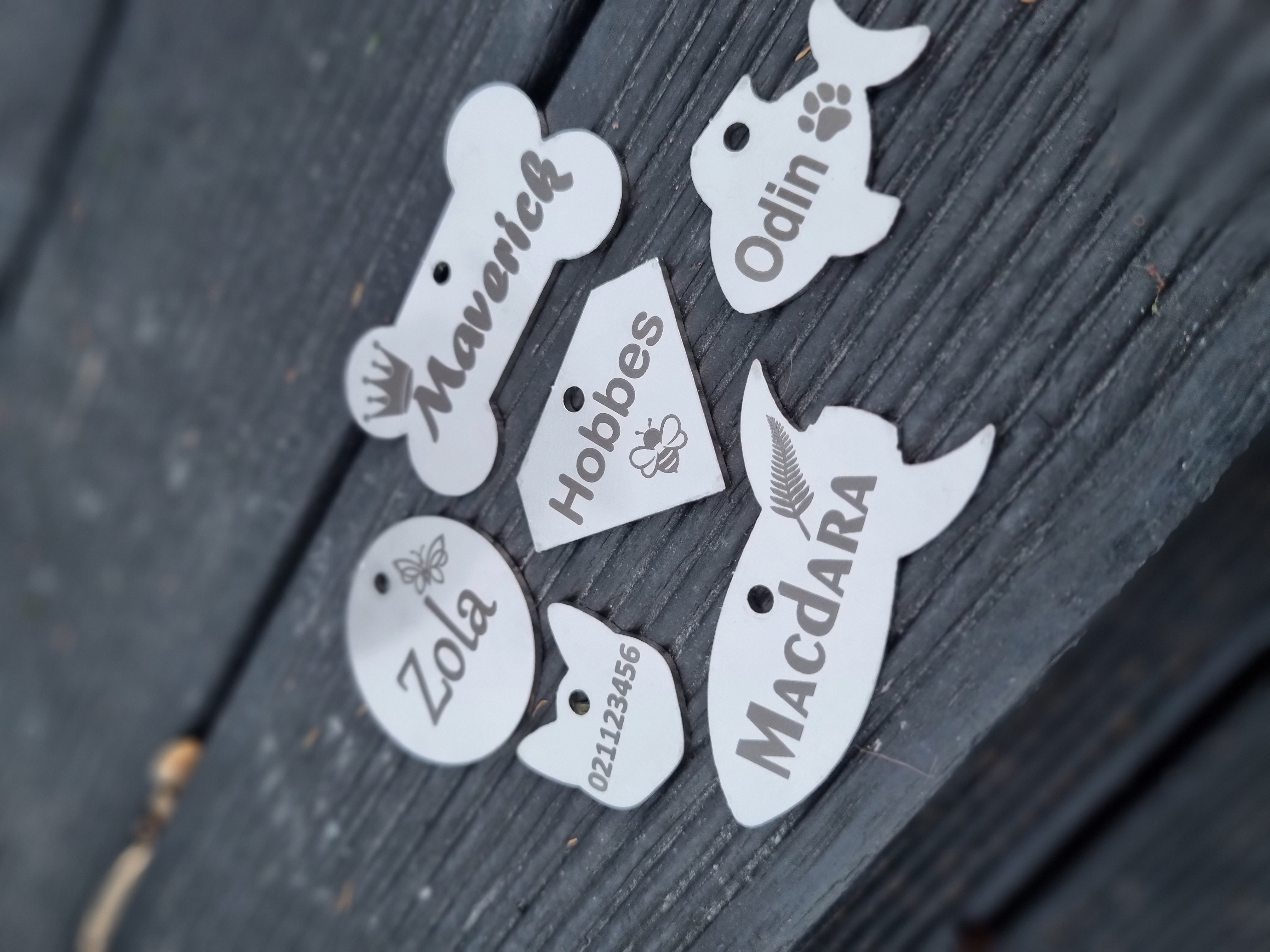 Stainless Steel Dog Tags