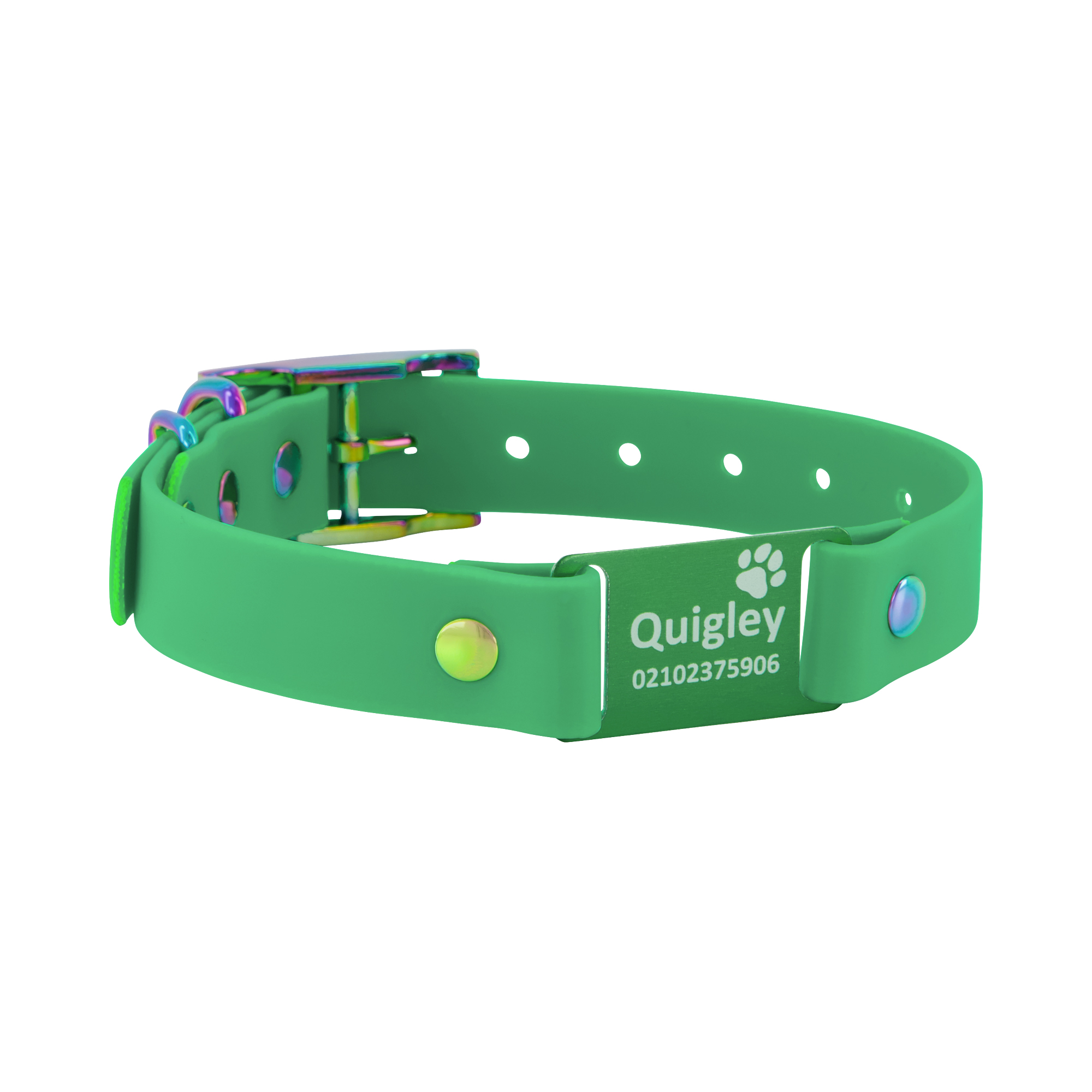 Classic Scrag Tag Collar - Green