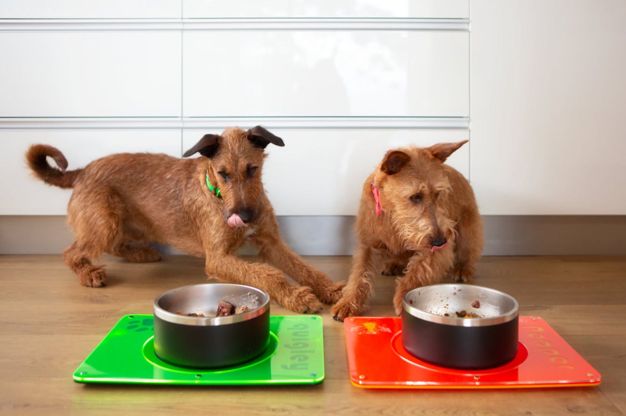 Personalised Dog Feeding Mats & Bowls