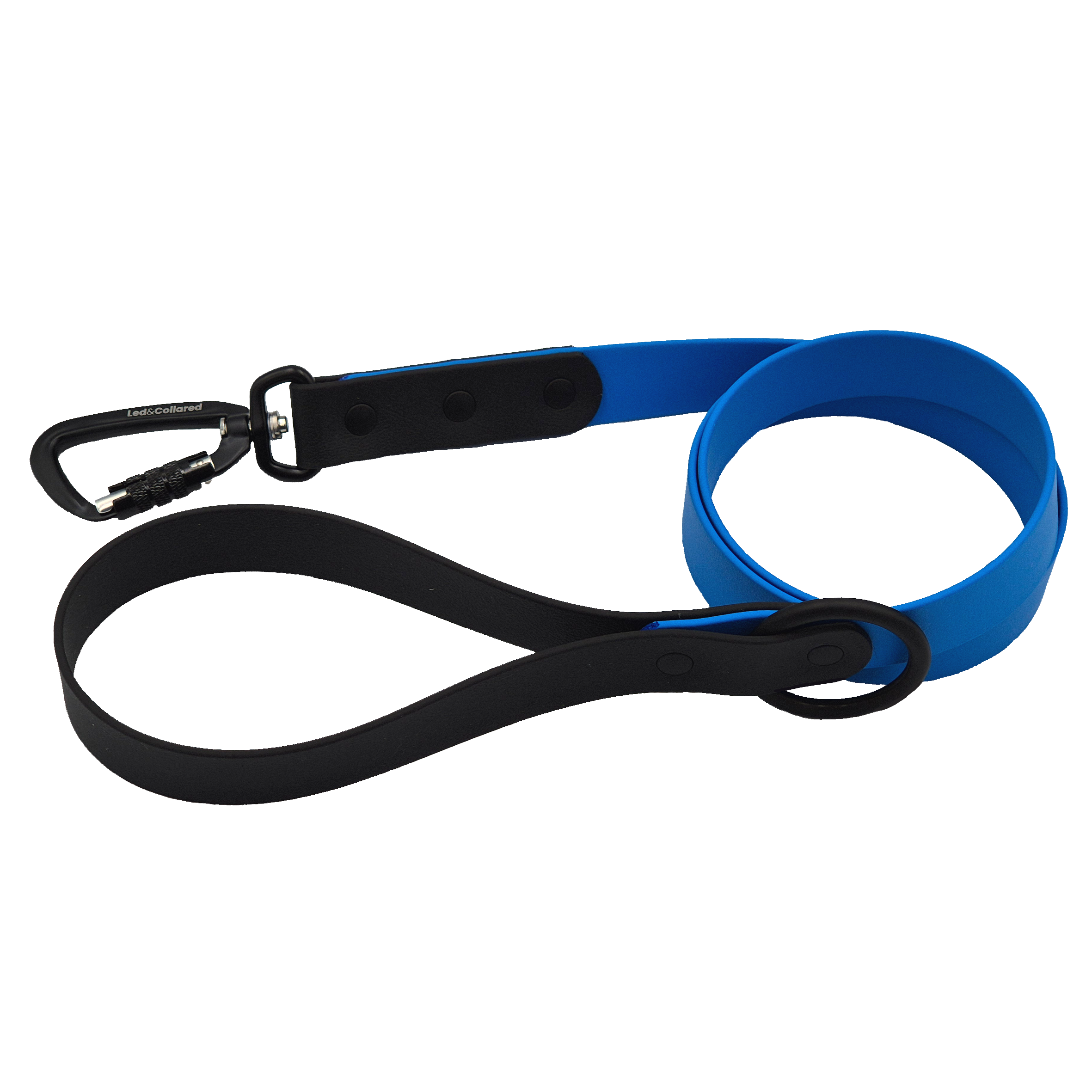 Two-Tone Carabiner Dog Lead - Light Blue and Black - Black HW