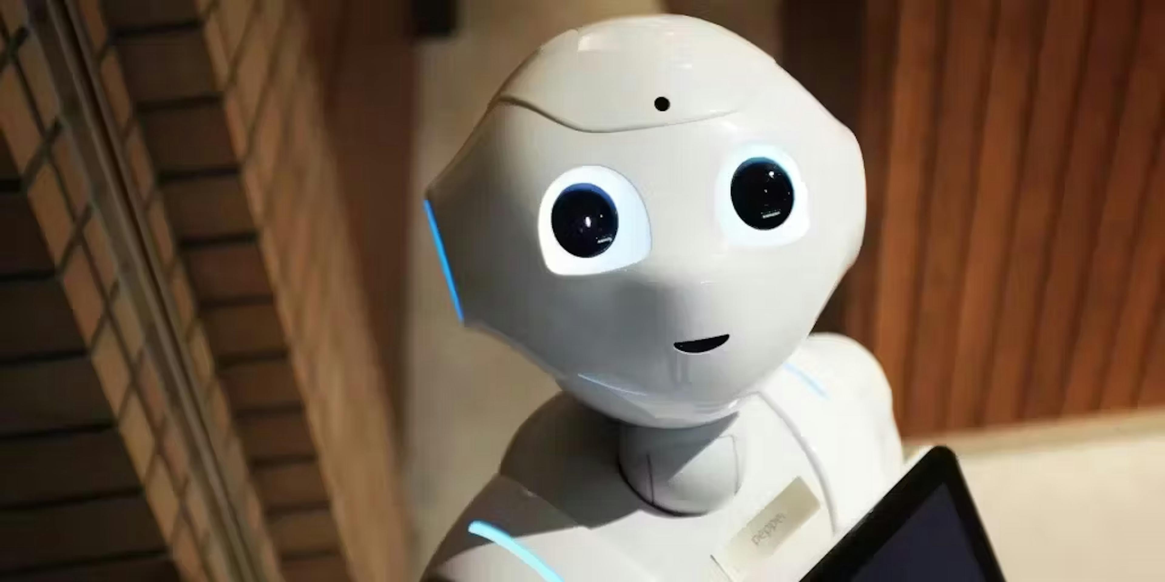 Robot looking at the camera