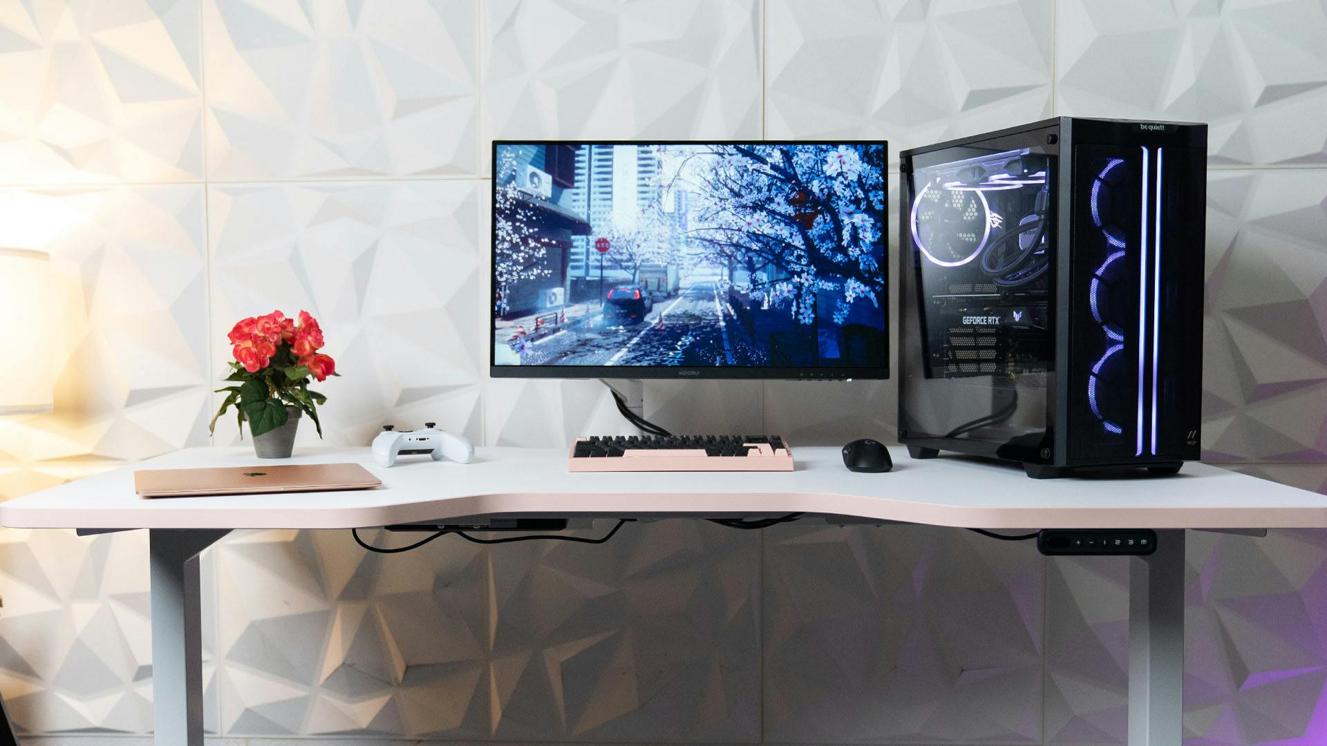 Cable Management for Gaming and Home Office Setups