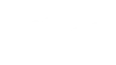 DNA next transparant logo