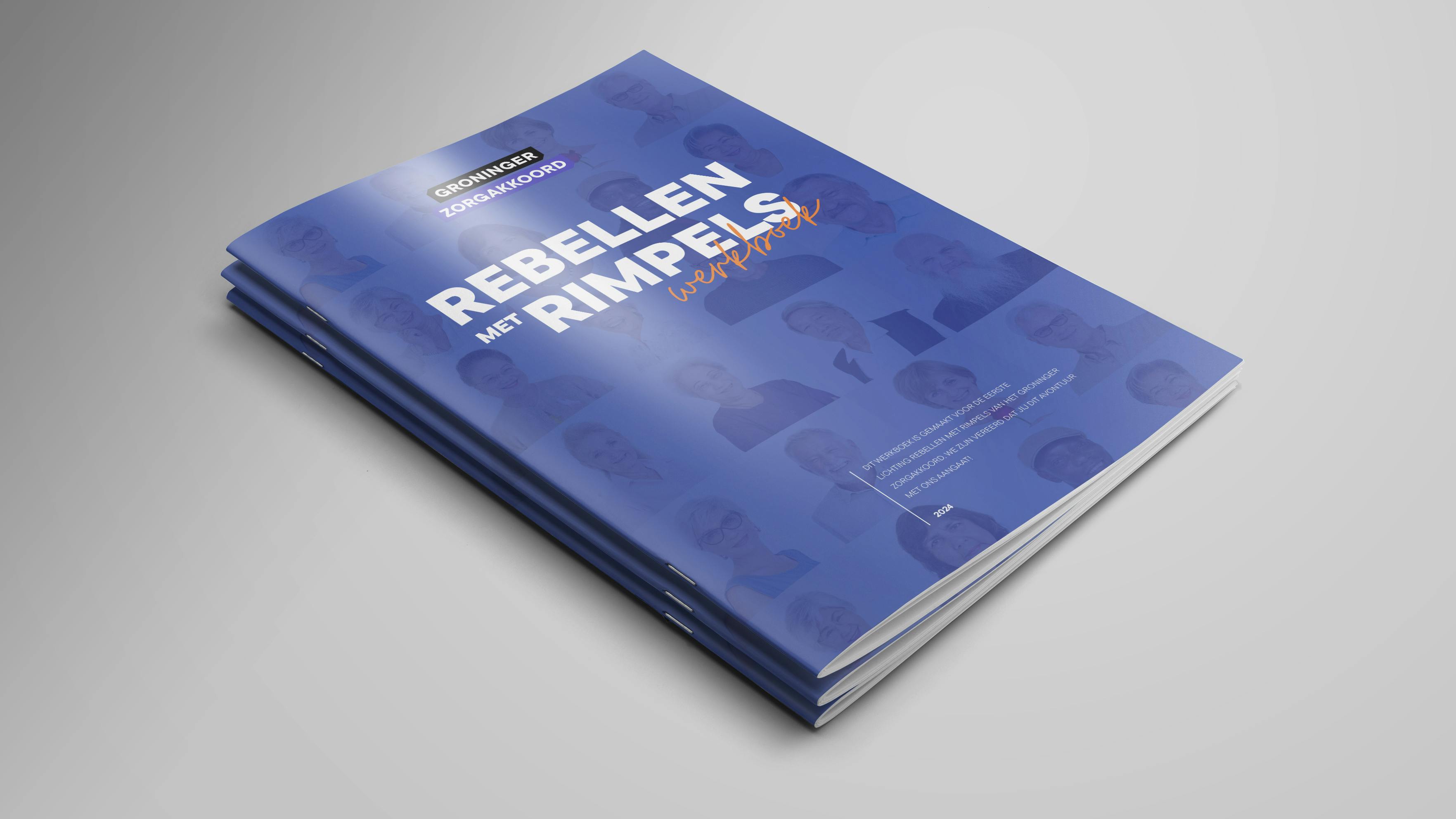 werkboek programma duurzame inzetbaarheid zorg LEF