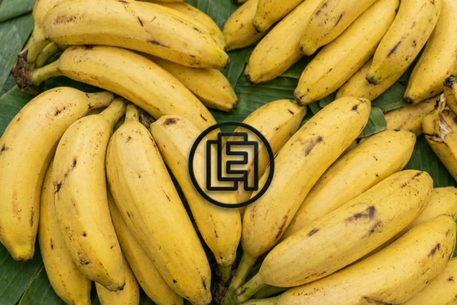 LEF-logo-bananen-AI-gegenereerd-Nanobanana2