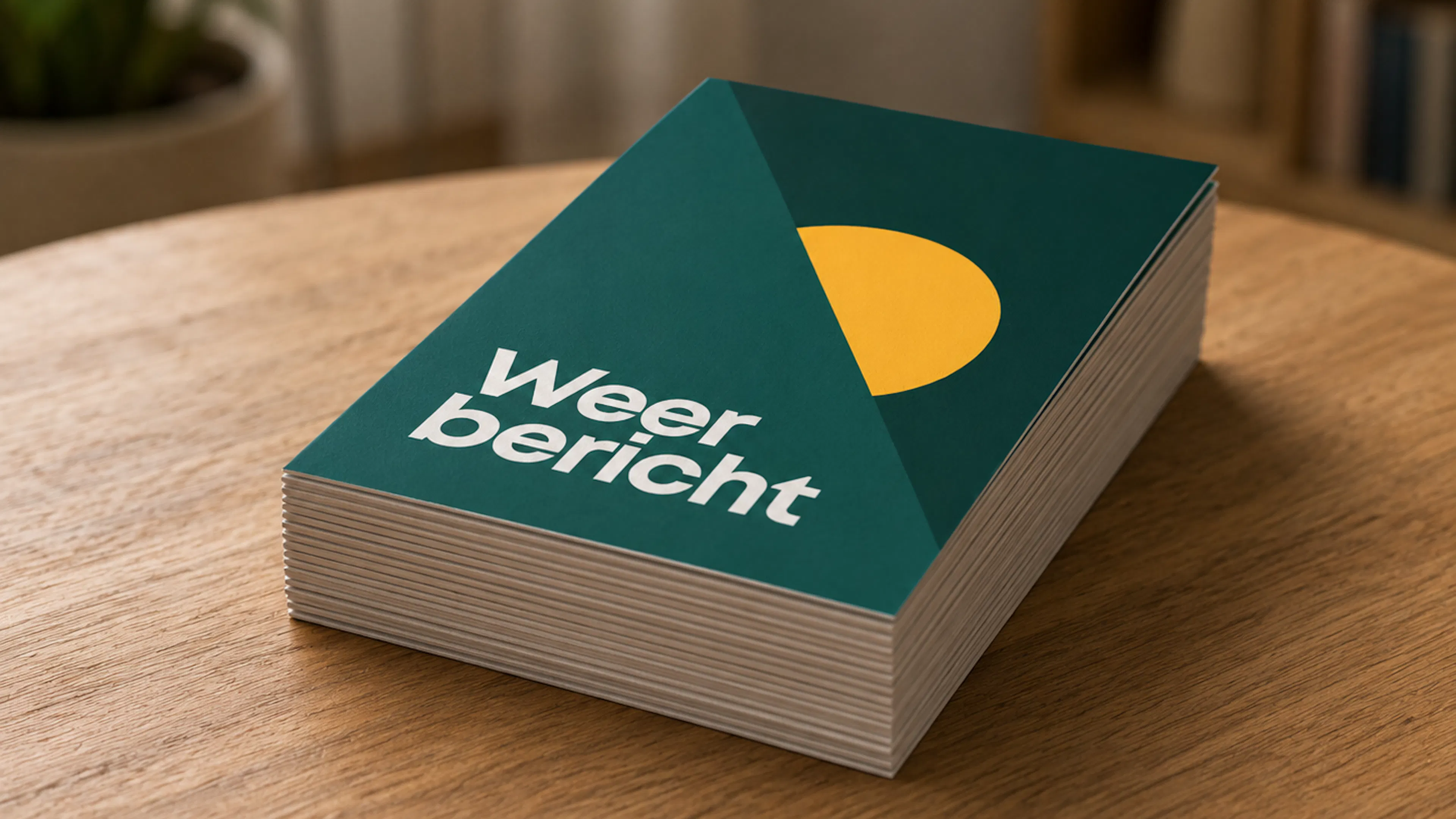 NEC_Spelbord_Weerberichtkaart_MockUp_1