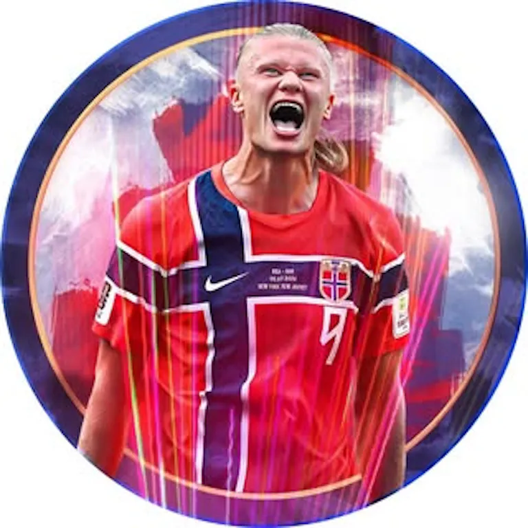 @erling instagram profile picture