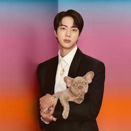 Jin BTS