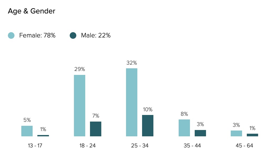 Age and gender demographics of airline content audience.