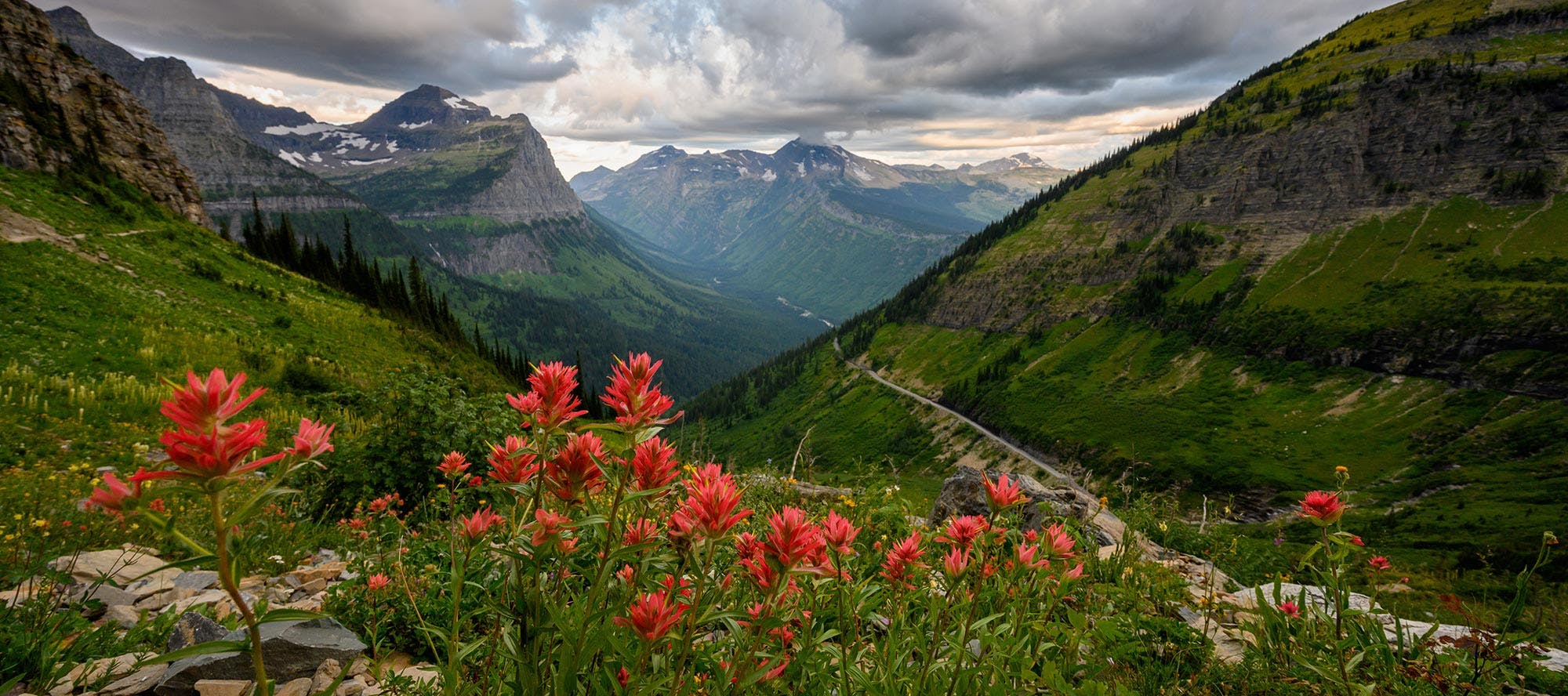 Scene in Montana's Glacier National Park