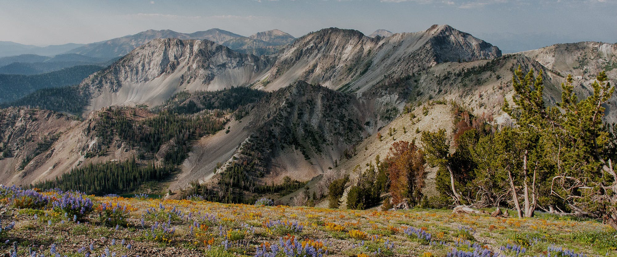 Landscape image of the Smokey Mountains in Idaho